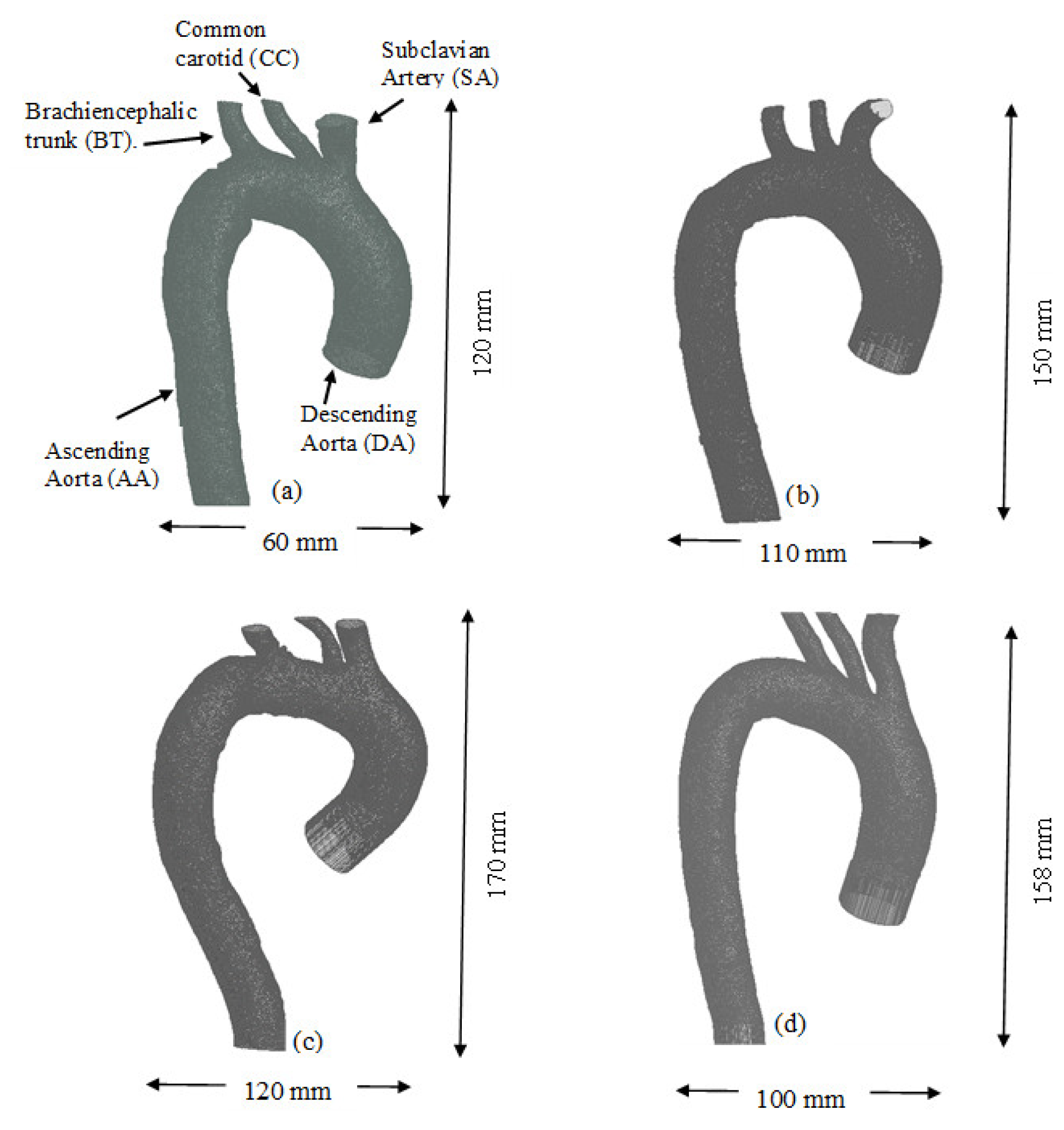 Symmetry 18 00143 g001