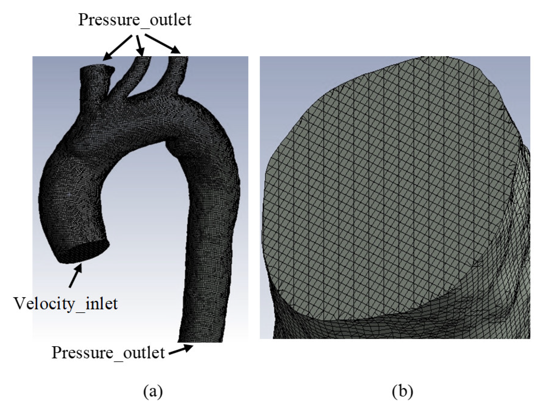 Symmetry 18 00143 g002
