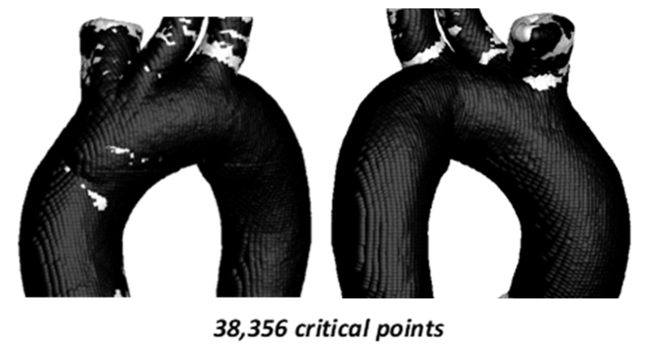 Symmetry 18 00143 g007