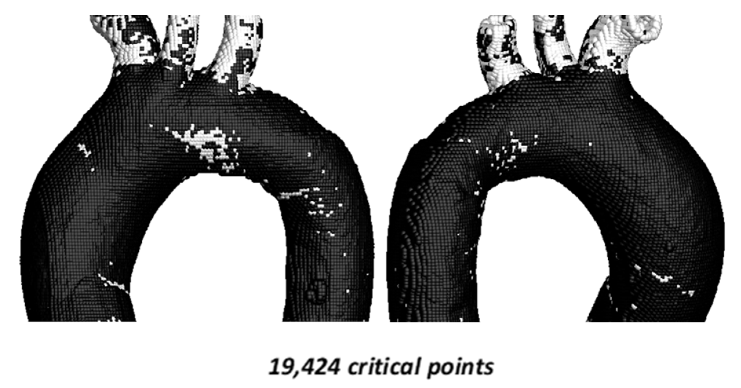 Symmetry 18 00143 g009