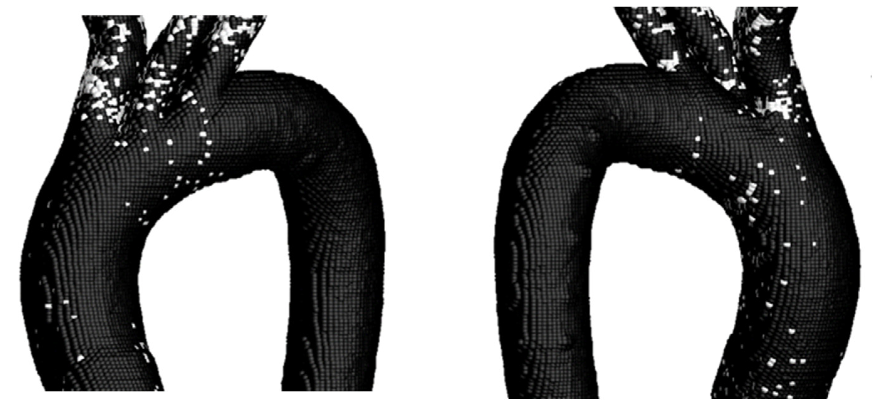 Symmetry 18 00143 g016