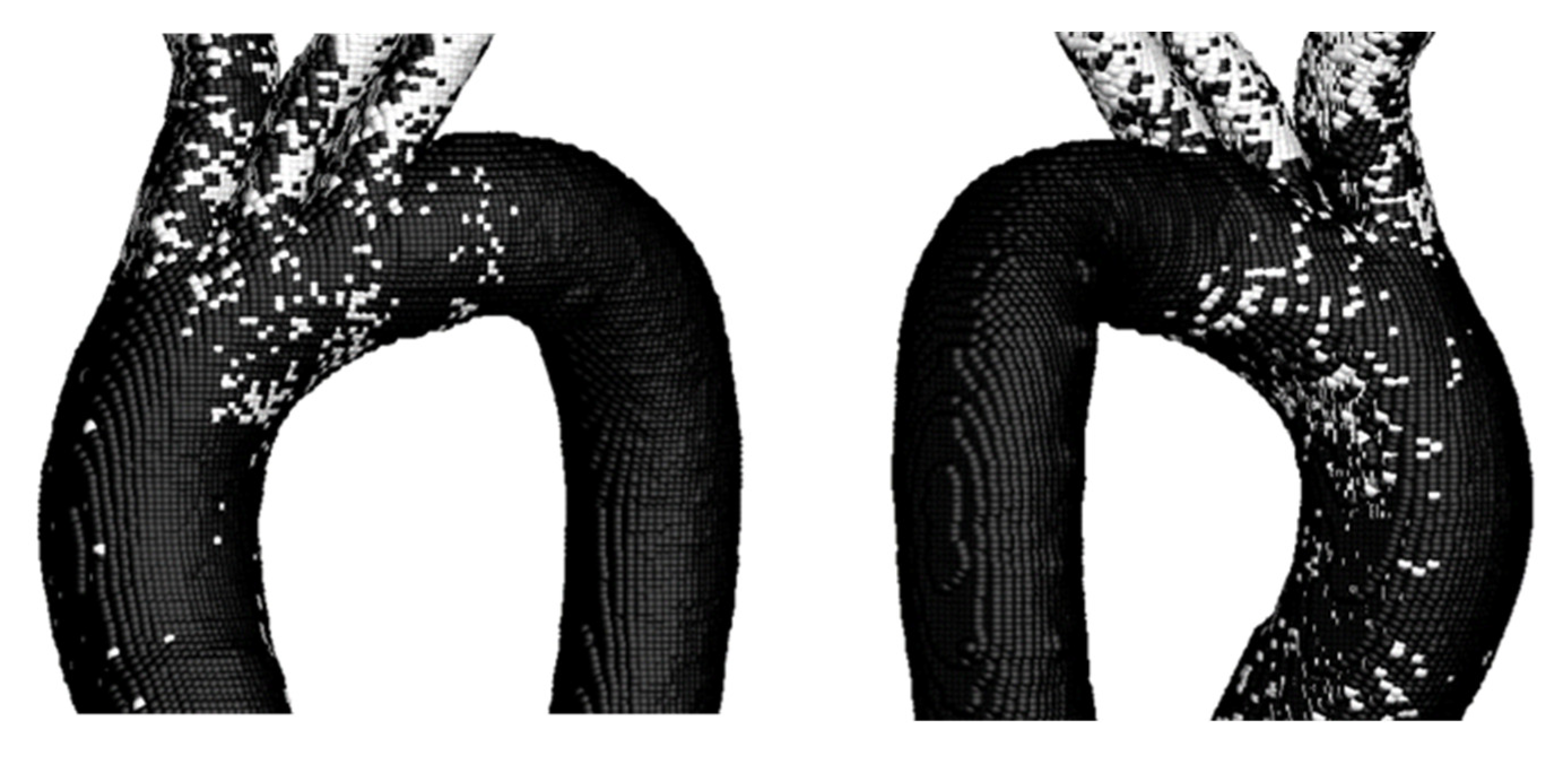 Symmetry 18 00143 g017