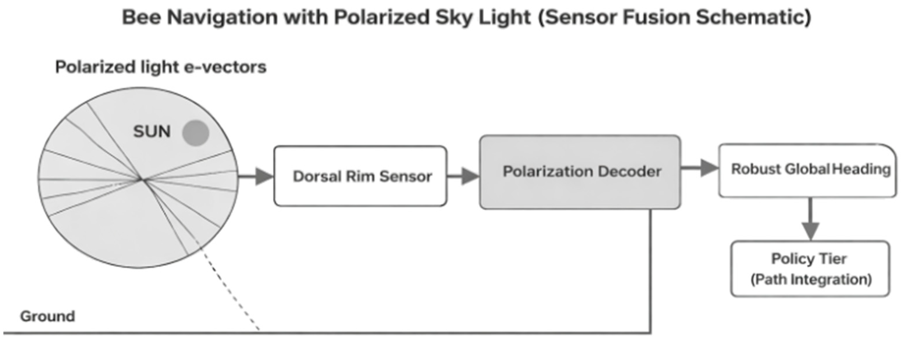 Symmetry 18 00175 g004