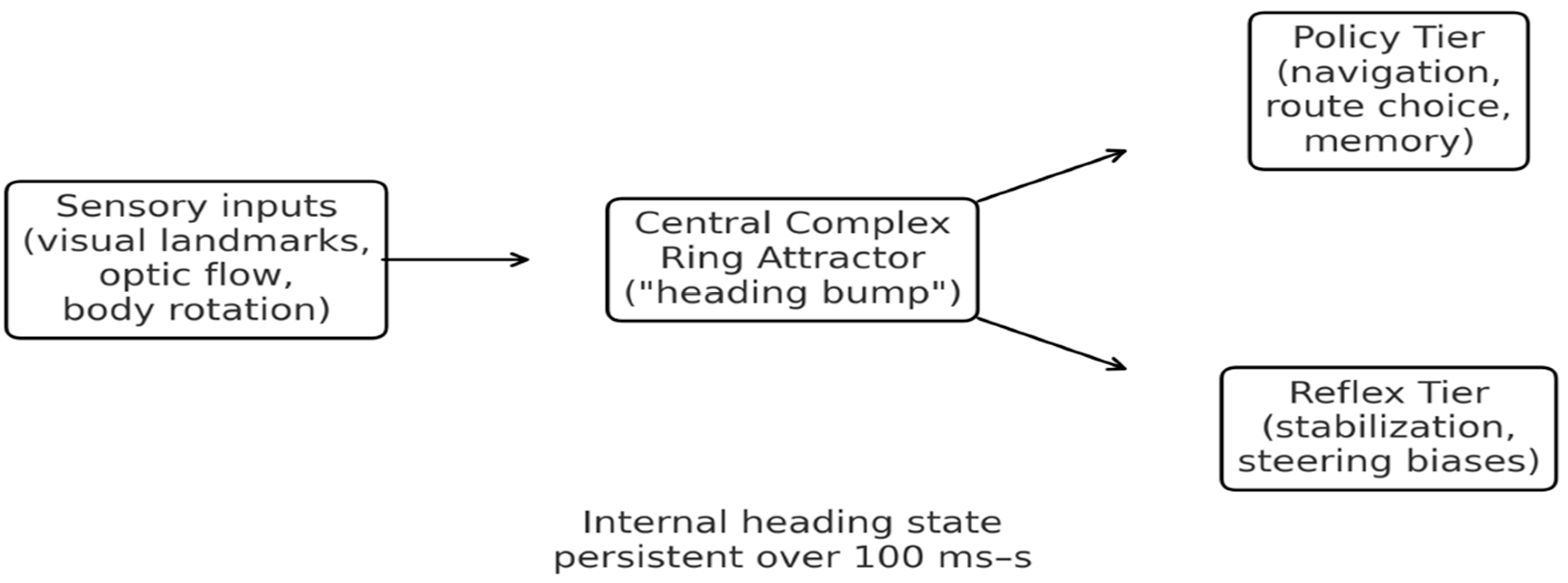 Symmetry 18 00175 g005