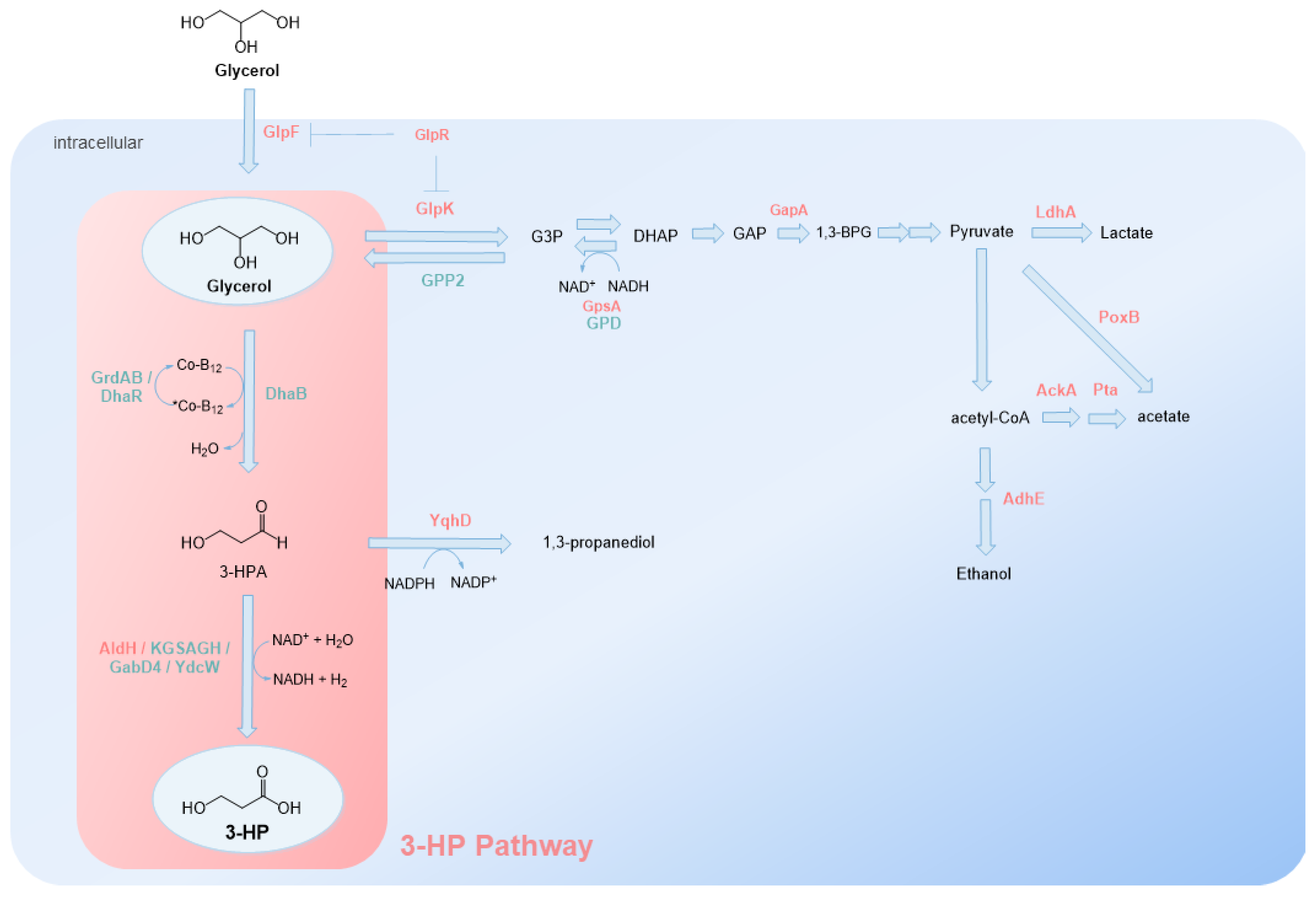 Synbio 01 00002 g004