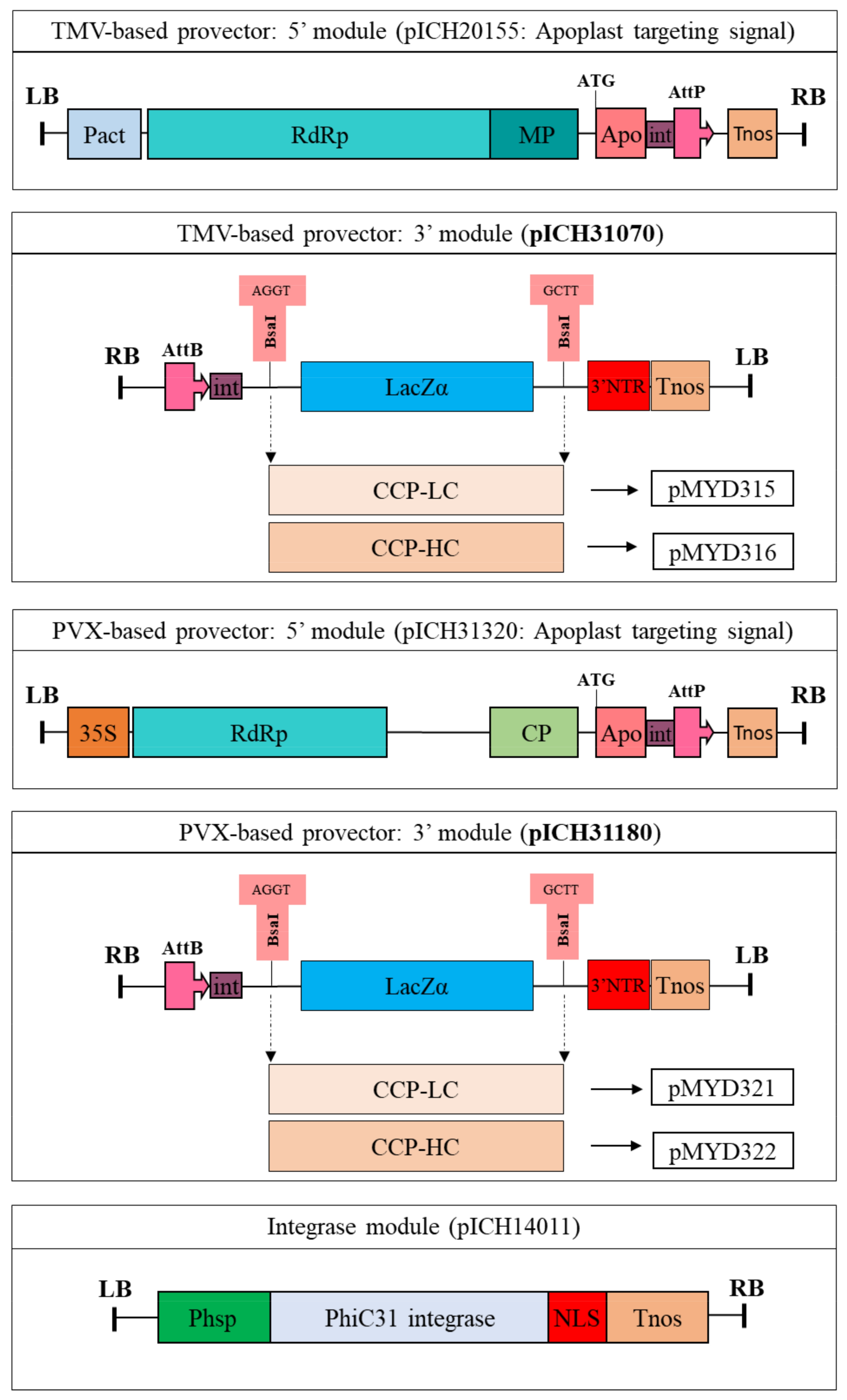 Synbio 01 00008 g001
