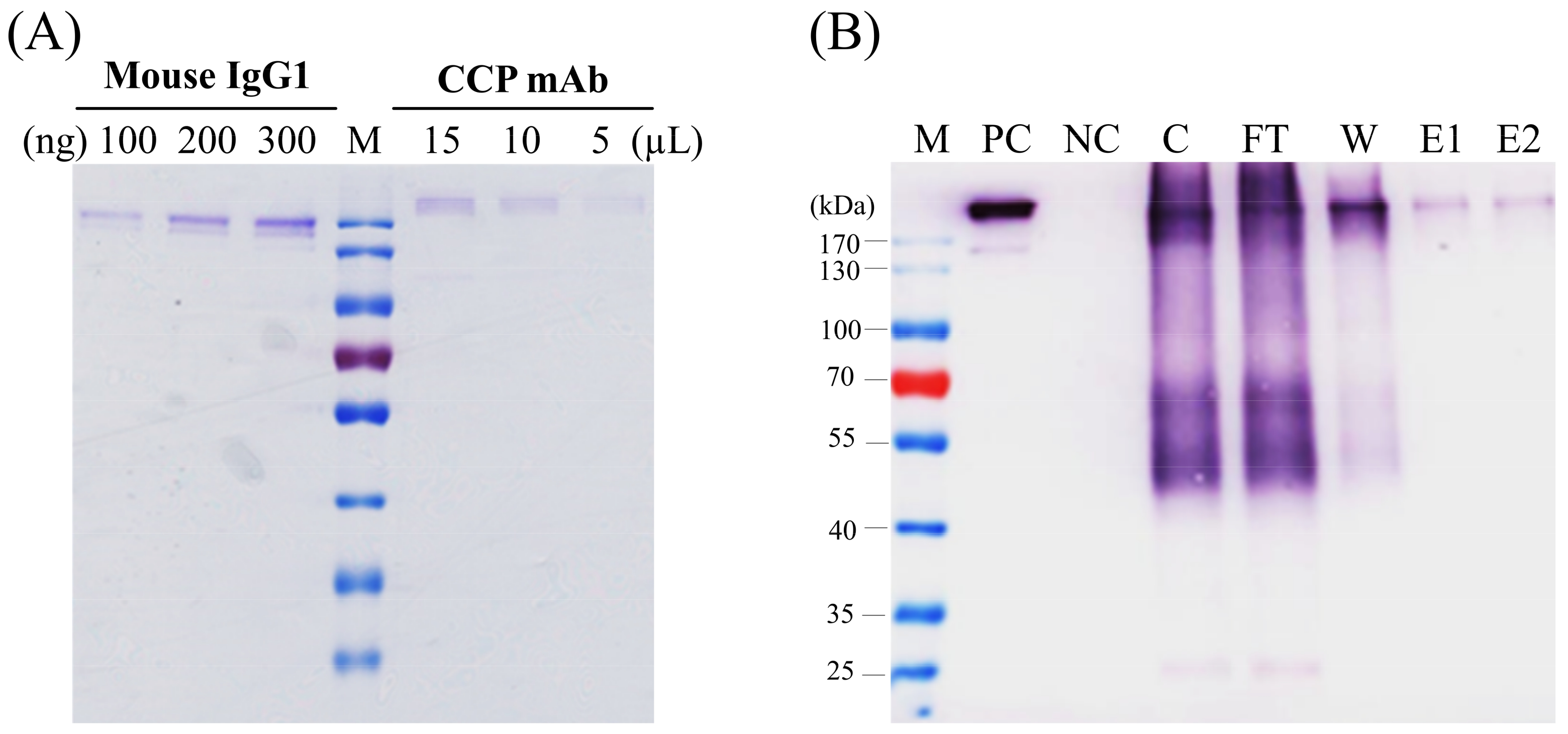 Synbio 01 00008 g005