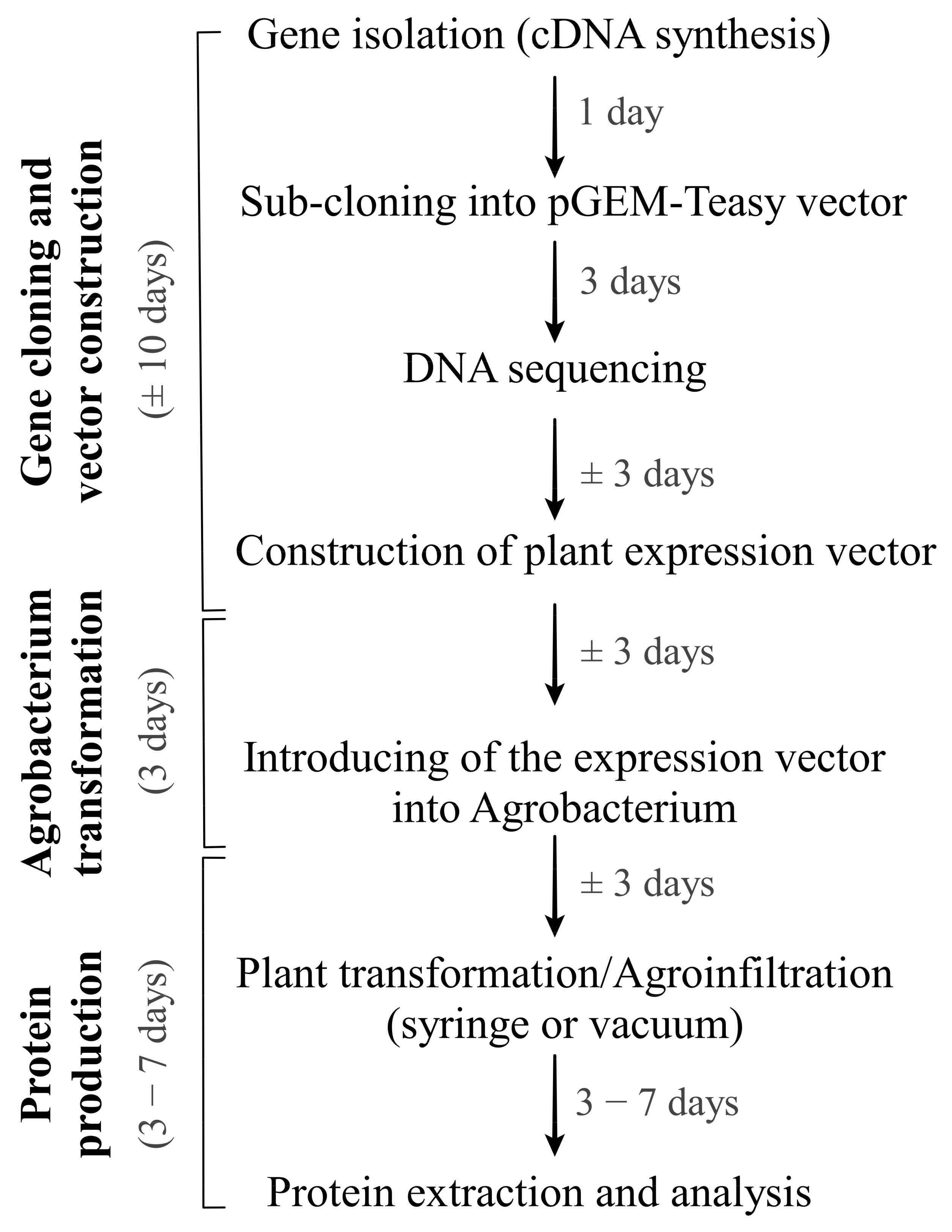 Synbio 01 00008 g008