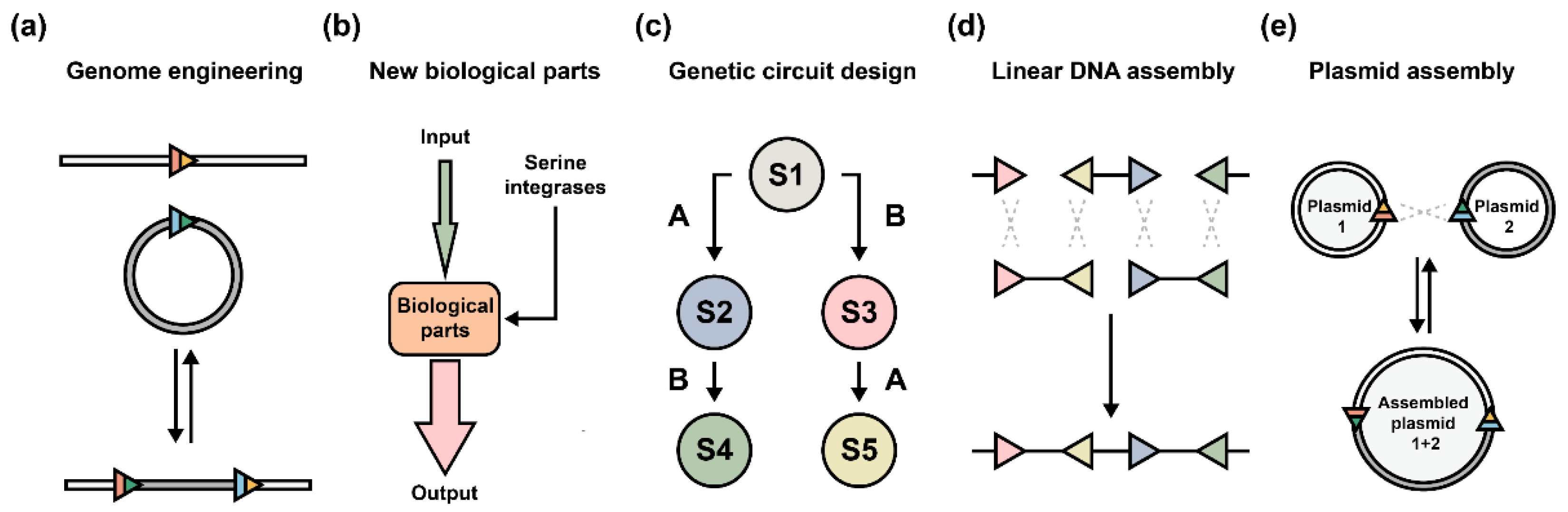 Synbio 01 00012 g004 Synbio 01 00012 g004