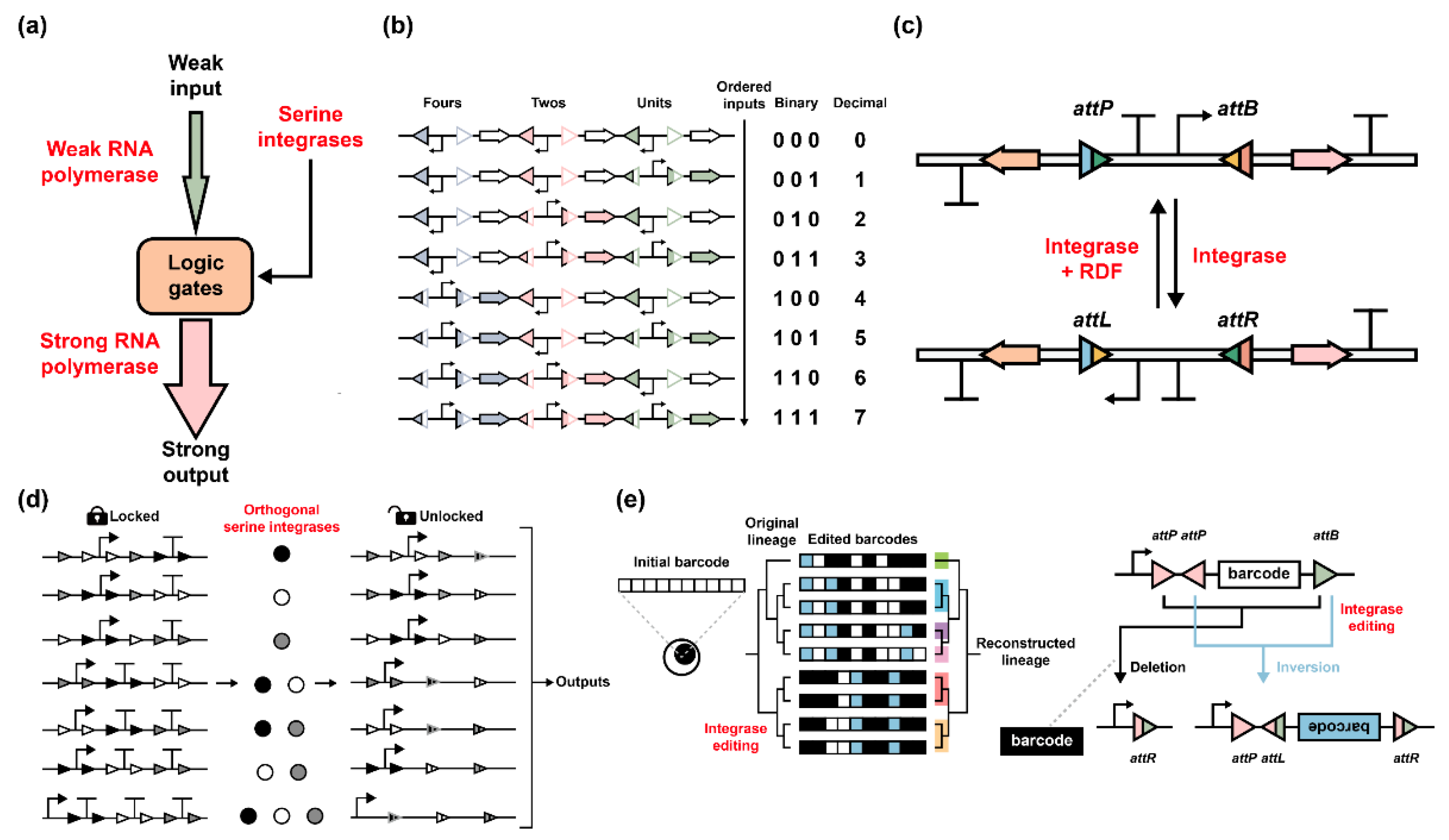 Synbio 01 00012 g006 Synbio 01 00012 g006