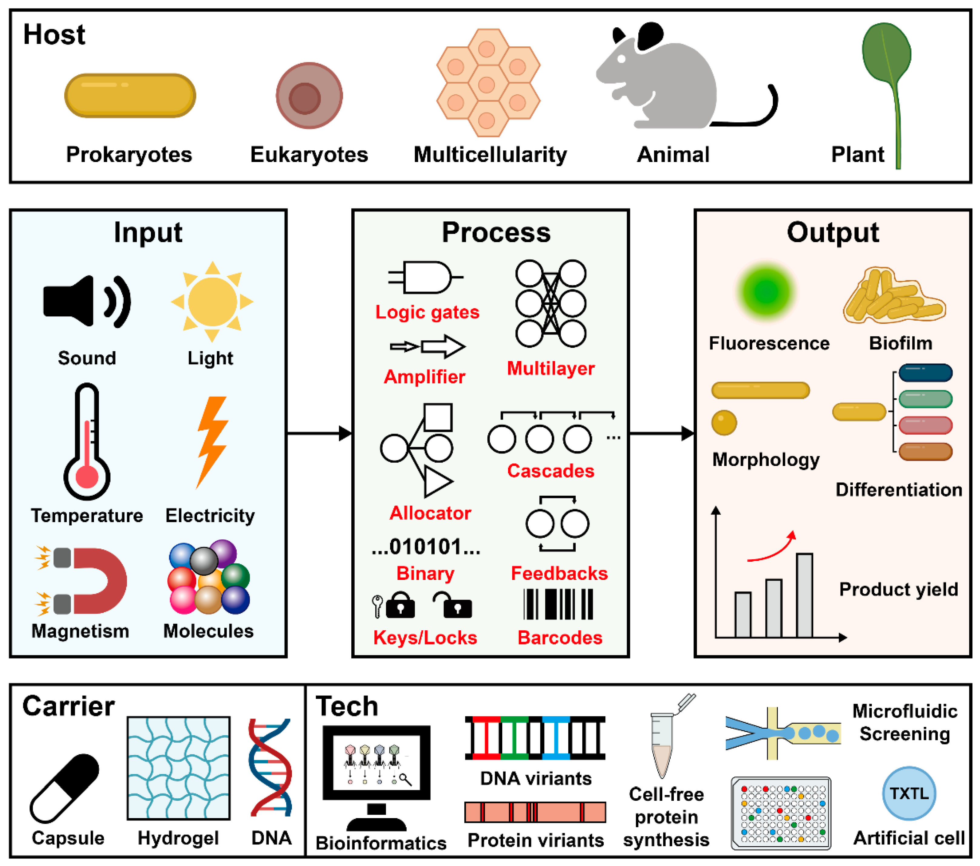 Synbio 01 00012 g008 Synbio 01 00012 g008