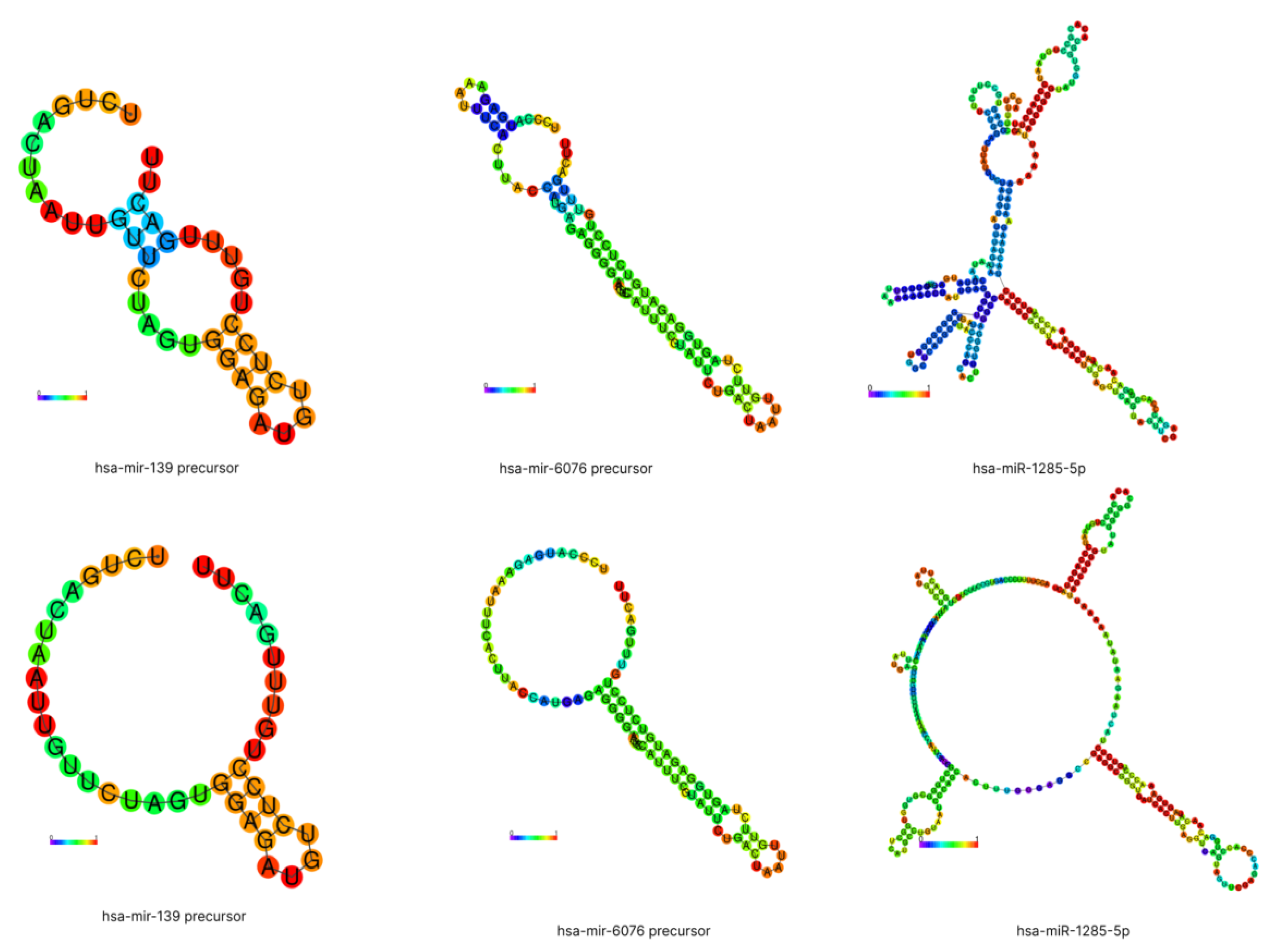Synbio 01 00014 g001
