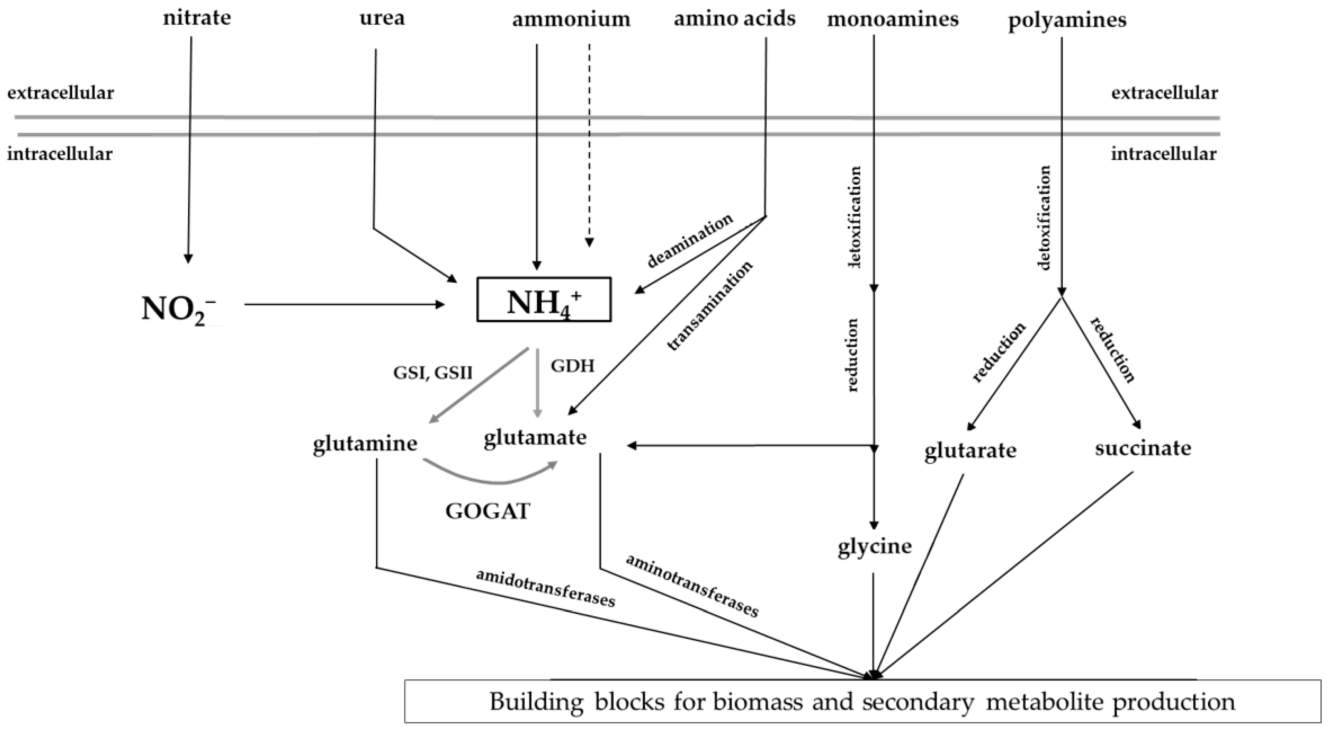 Synbio 01 00015 g001 Synbio 01 00015 g001