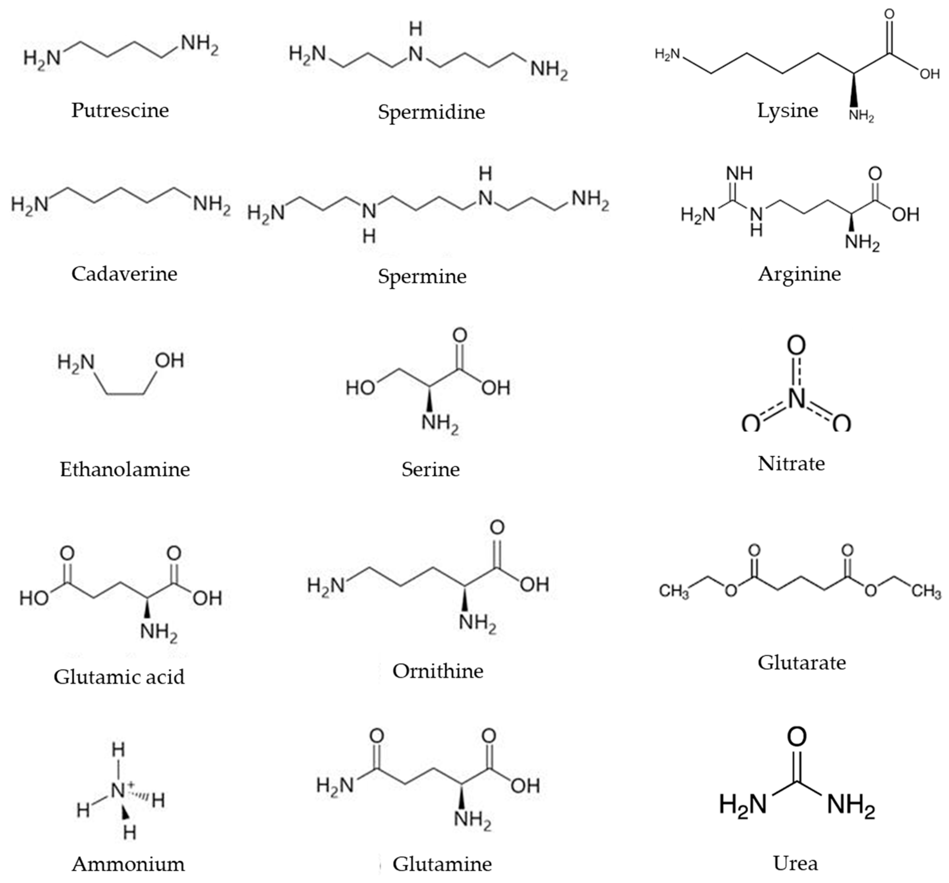 Synbio 01 00015 g003 Synbio 01 00015 g003
