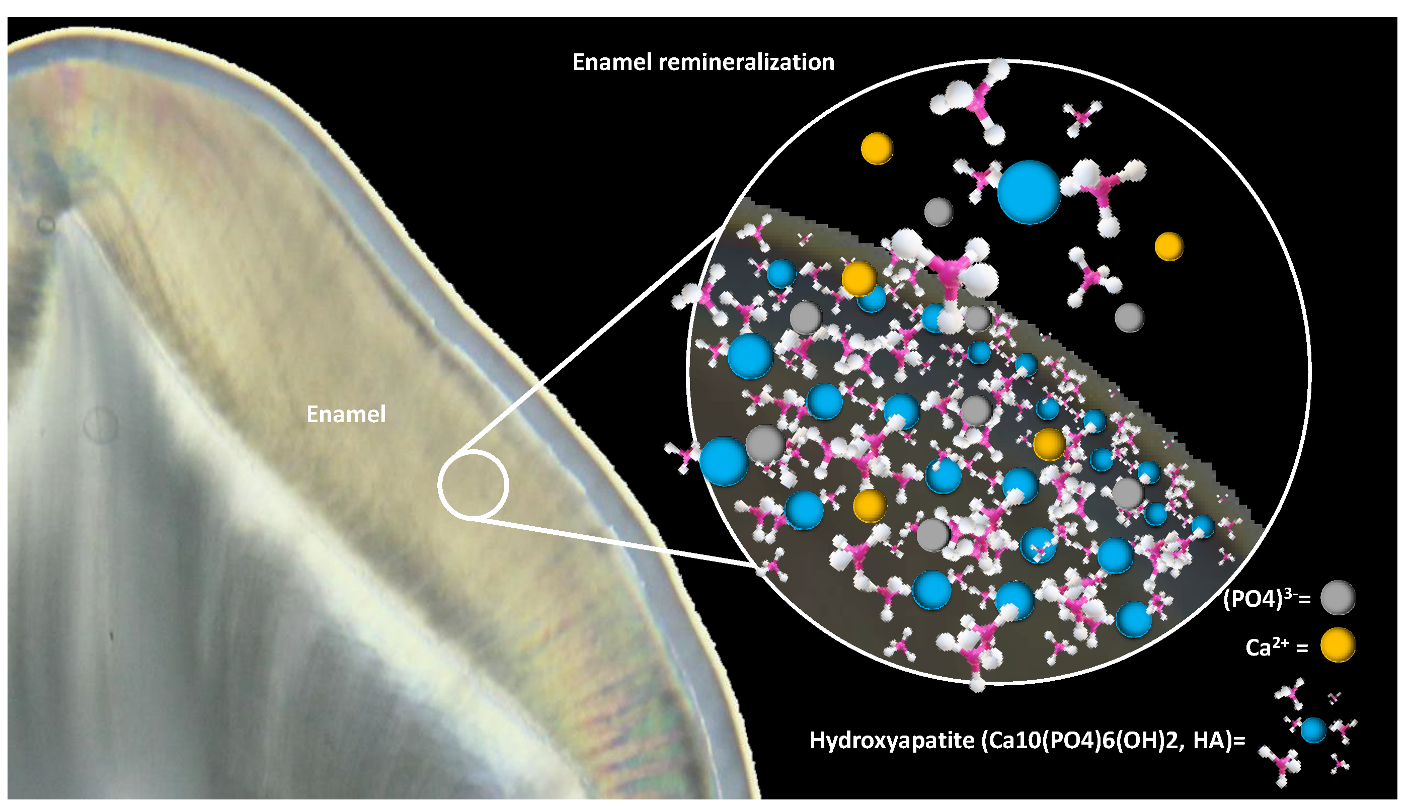 Synbio 02 00001 g002
