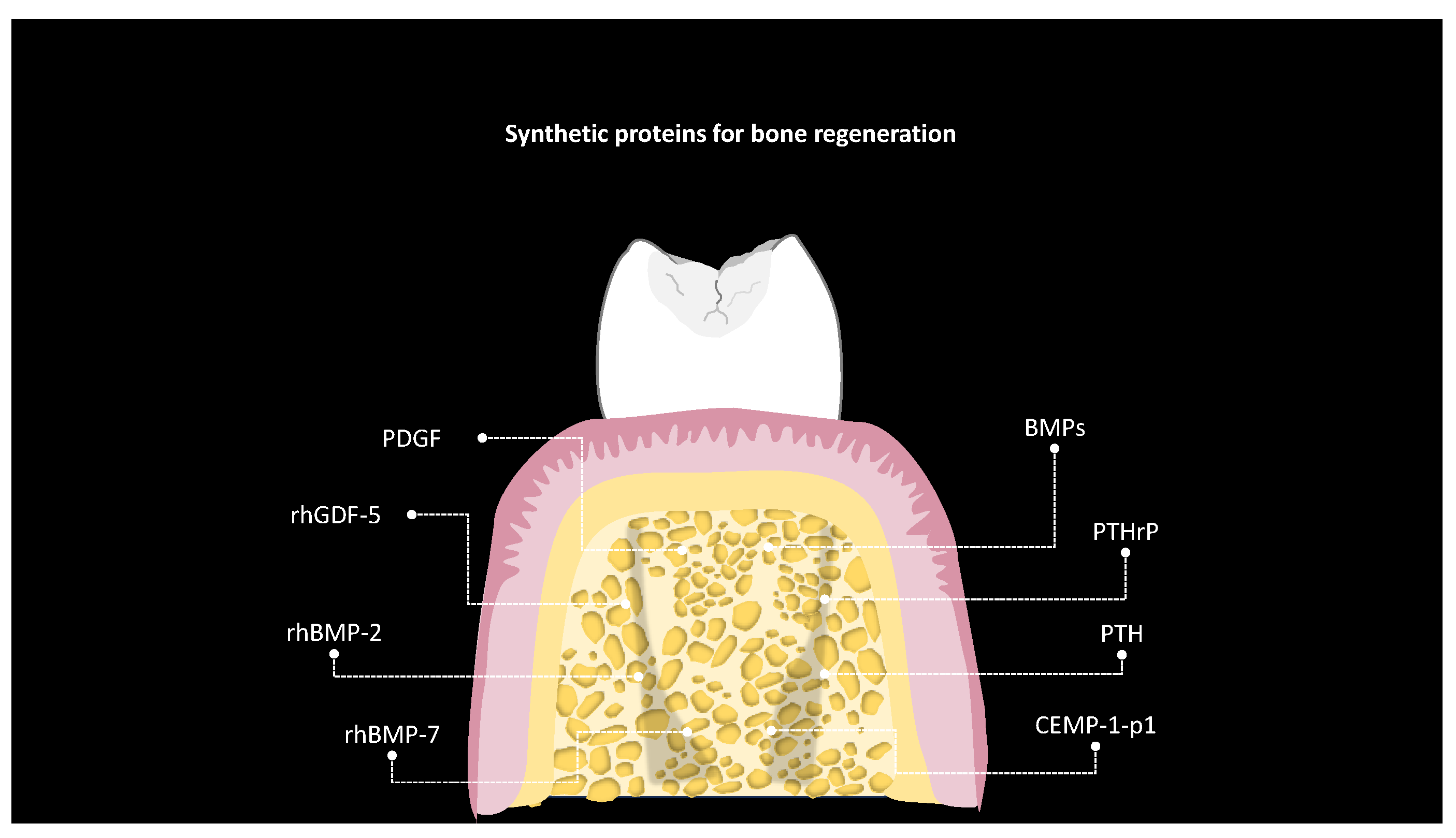 Synbio 02 00001 g004