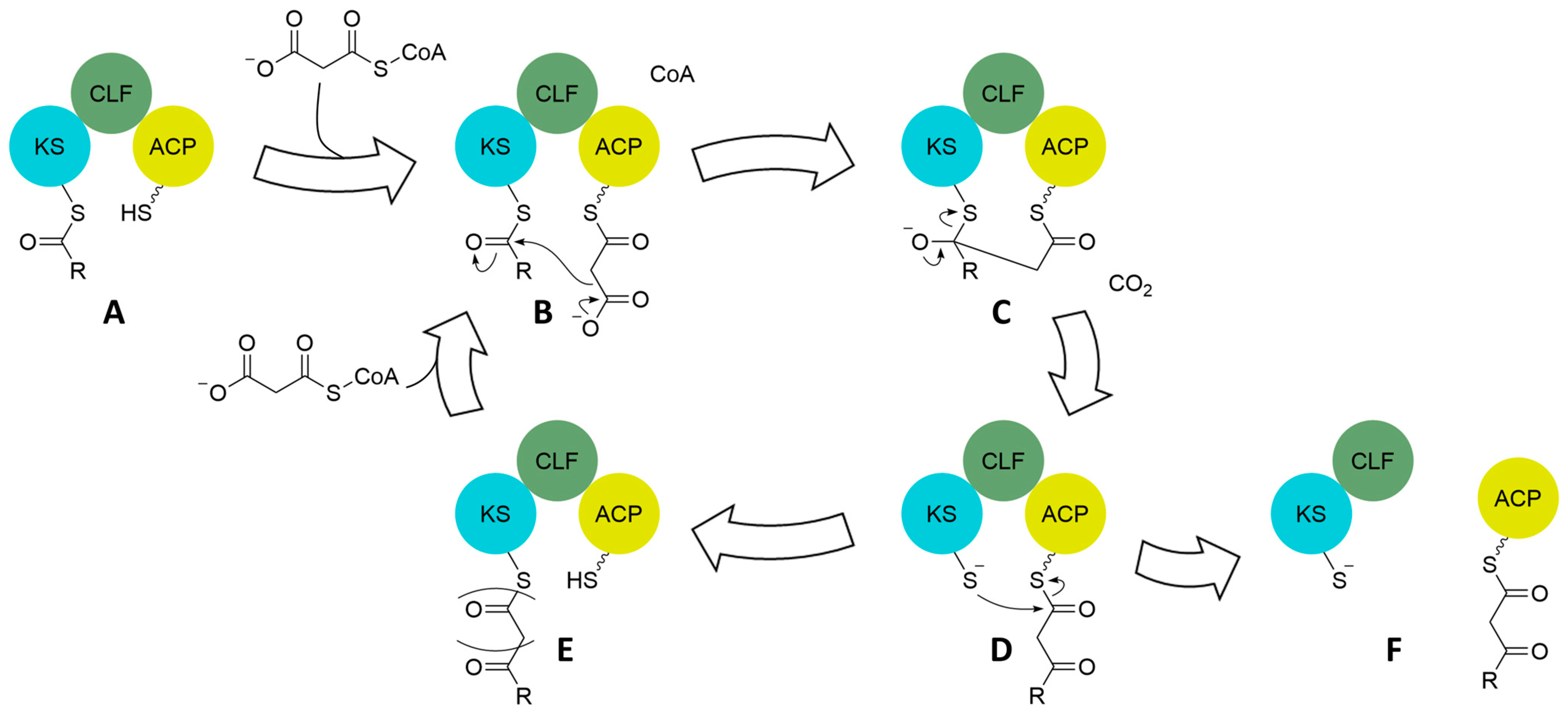 Synbio 02 00006 g006