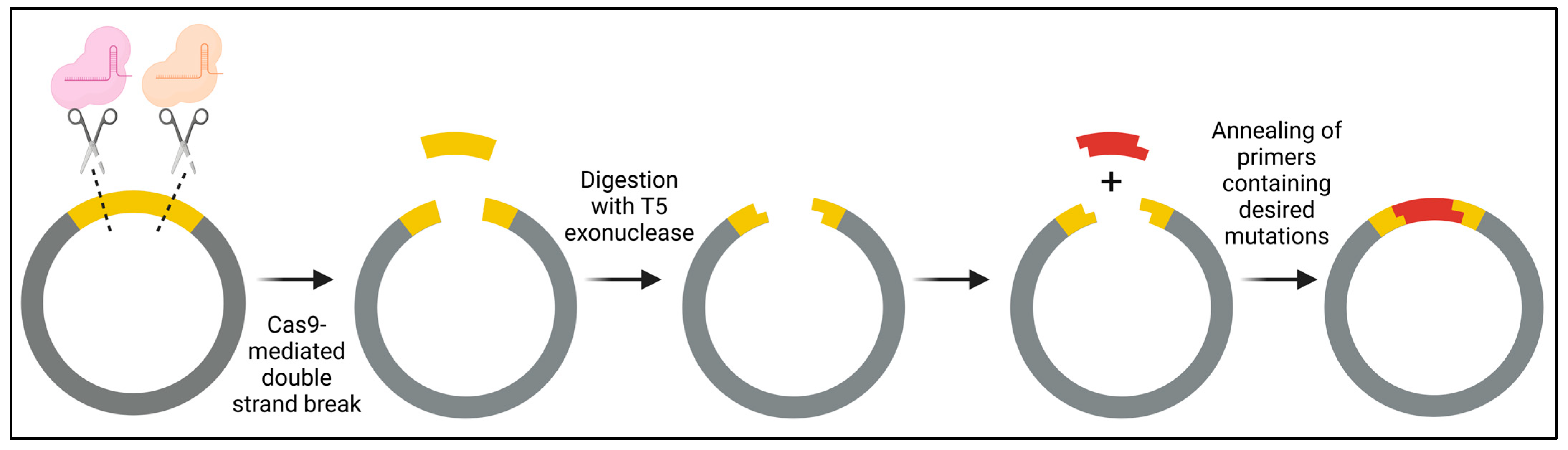 Synbio 02 00009 g010