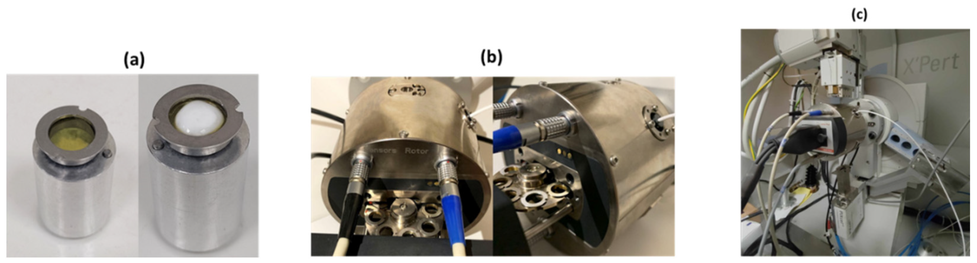 Synbio 02 00012 g010