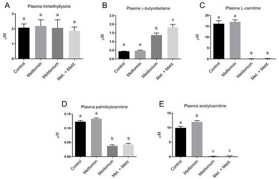 Metformin Lowers Plasma Triacylglycerol Levels in Mice with Impaired  Carnitine Biosynthesis and Fatty Liver