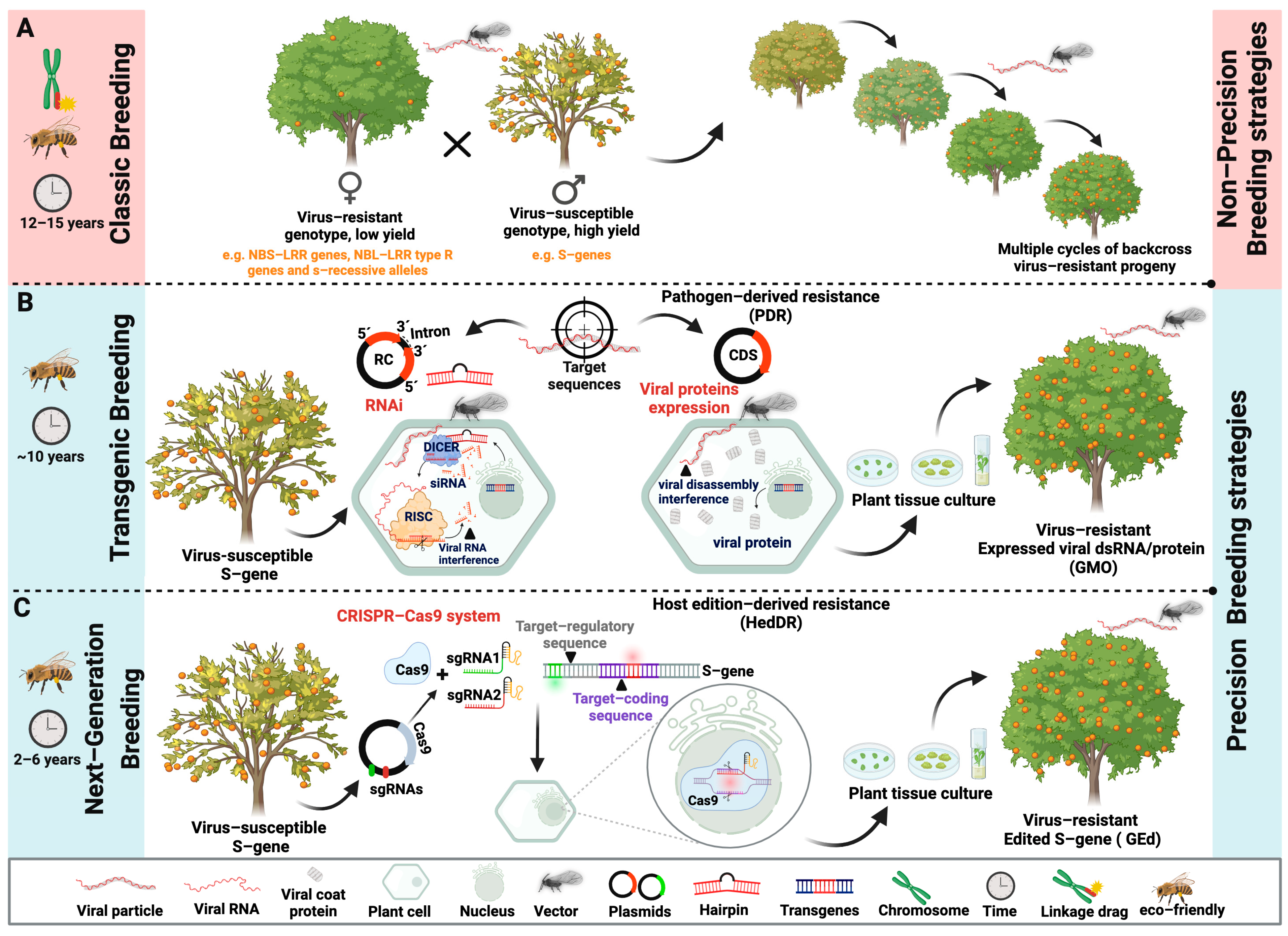 Synbio 02 00016 g001