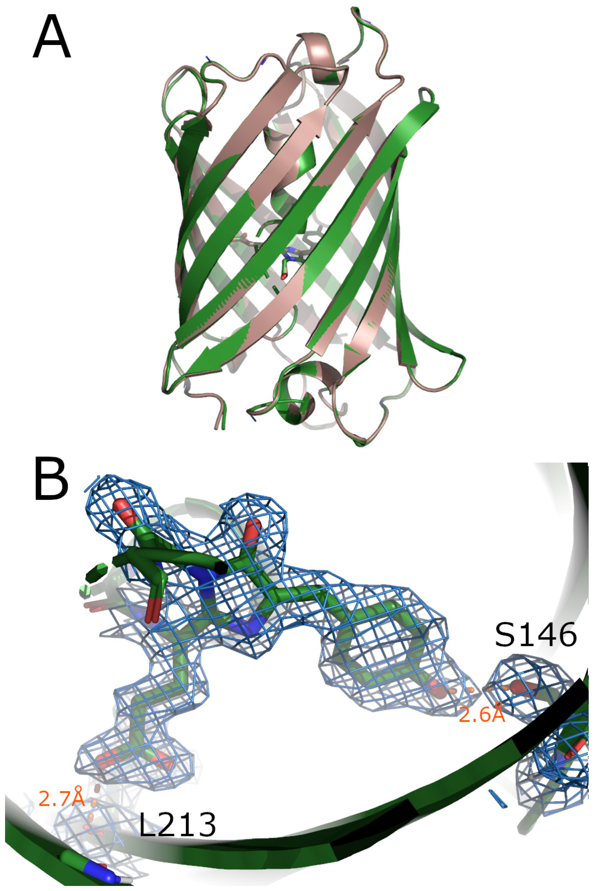 Synbio 02 00018 g003
