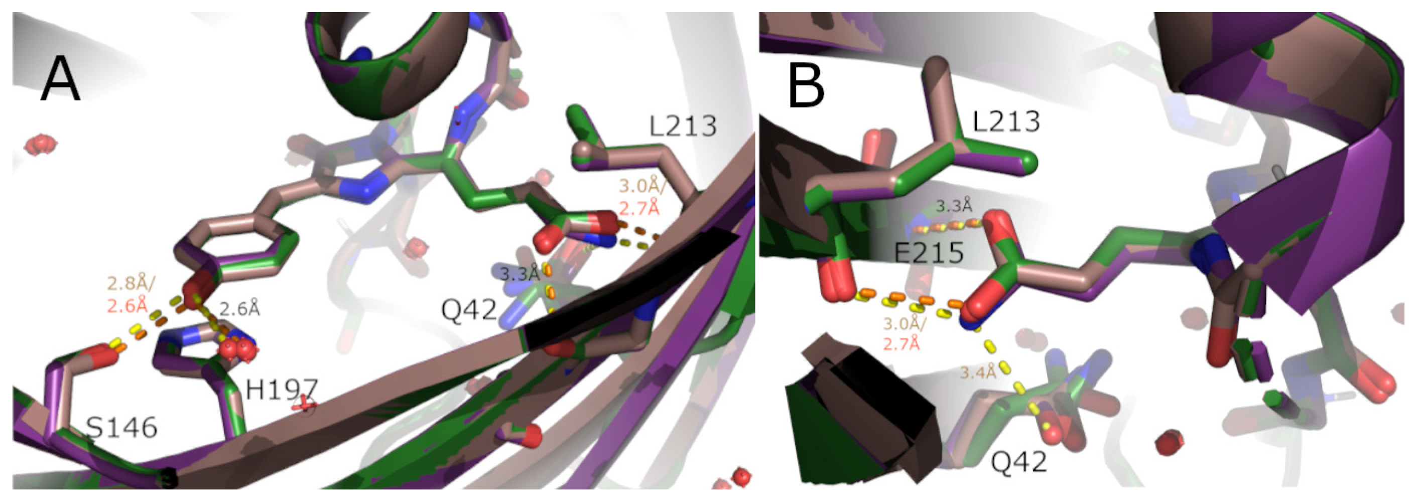Synbio 02 00018 g004