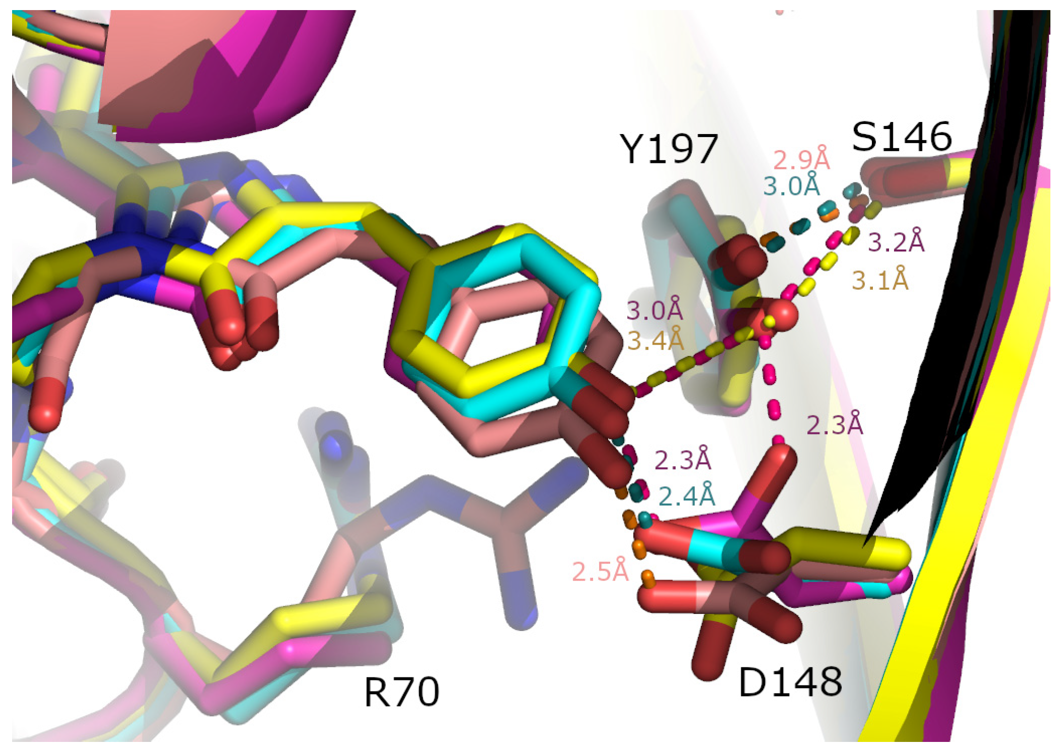Synbio 02 00018 g006
