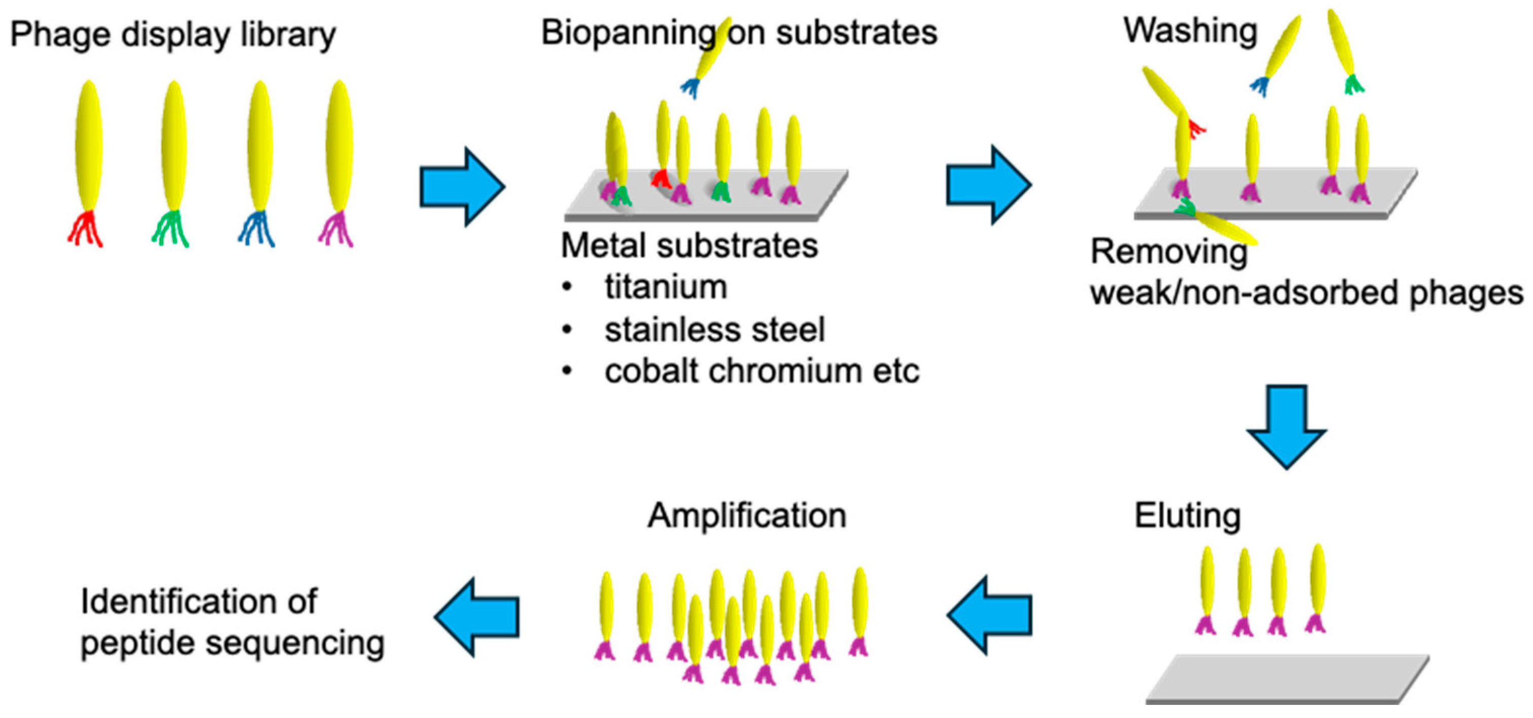 Synbio 02 00020 g002