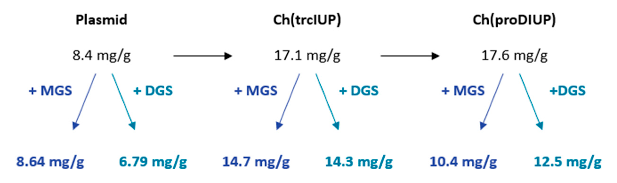 Synbio 02 00022 g007