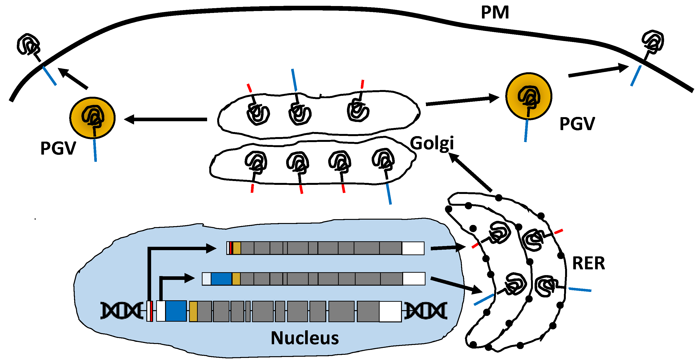 Synbio 03 00006 g002