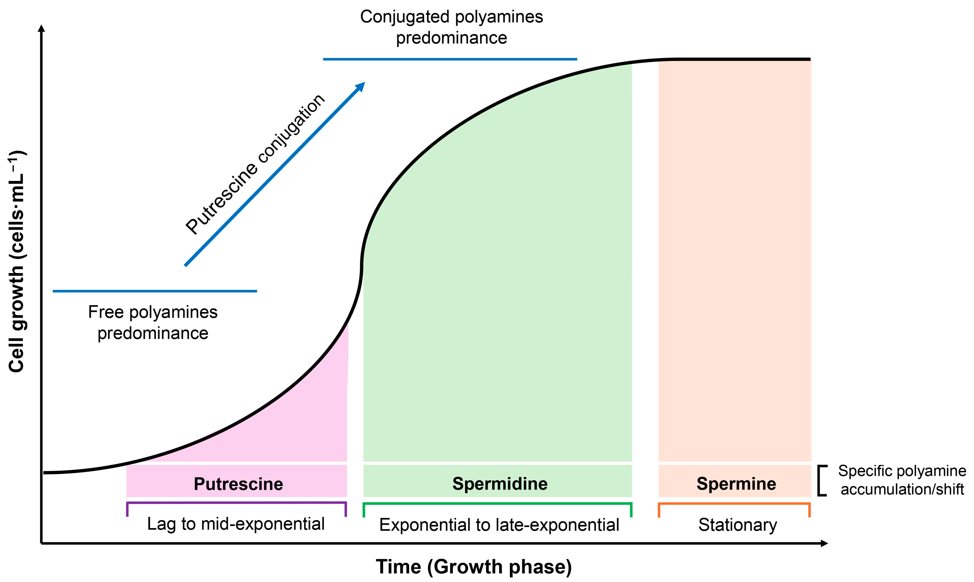 Synbio 03 00008 g002