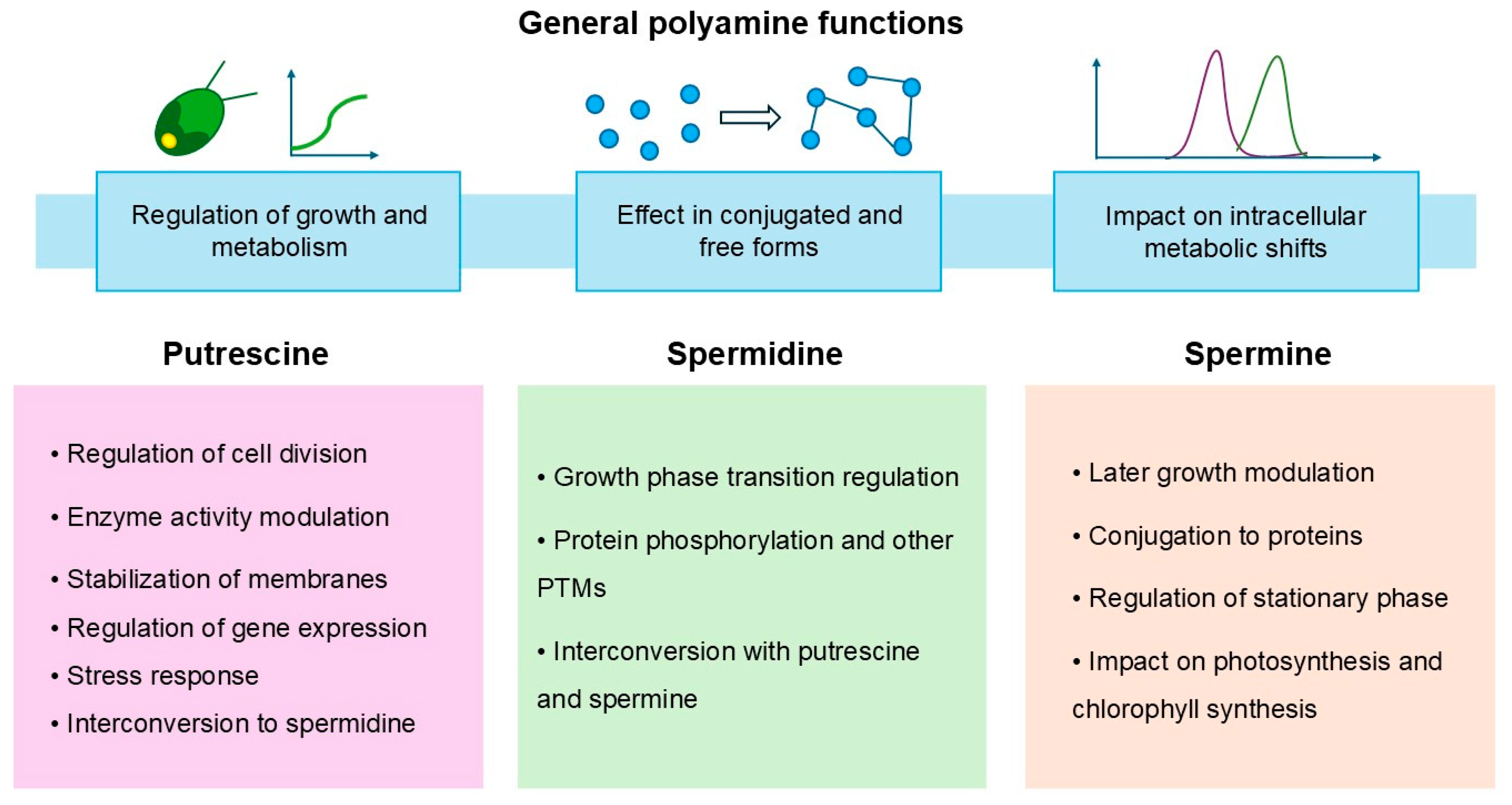 Synbio 03 00008 g004