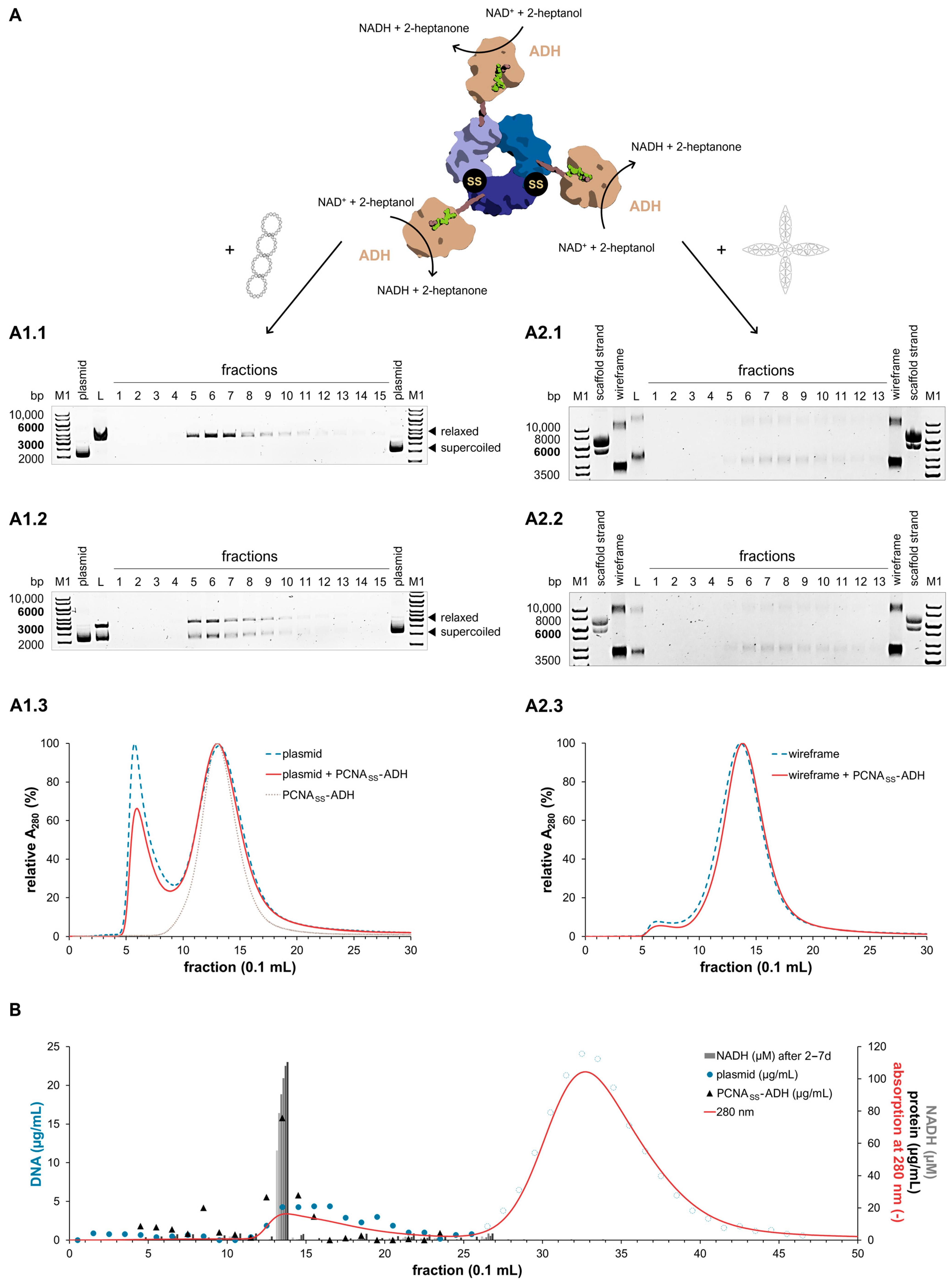 Synbio 03 00016 g006 Synbio 03 00016 g006