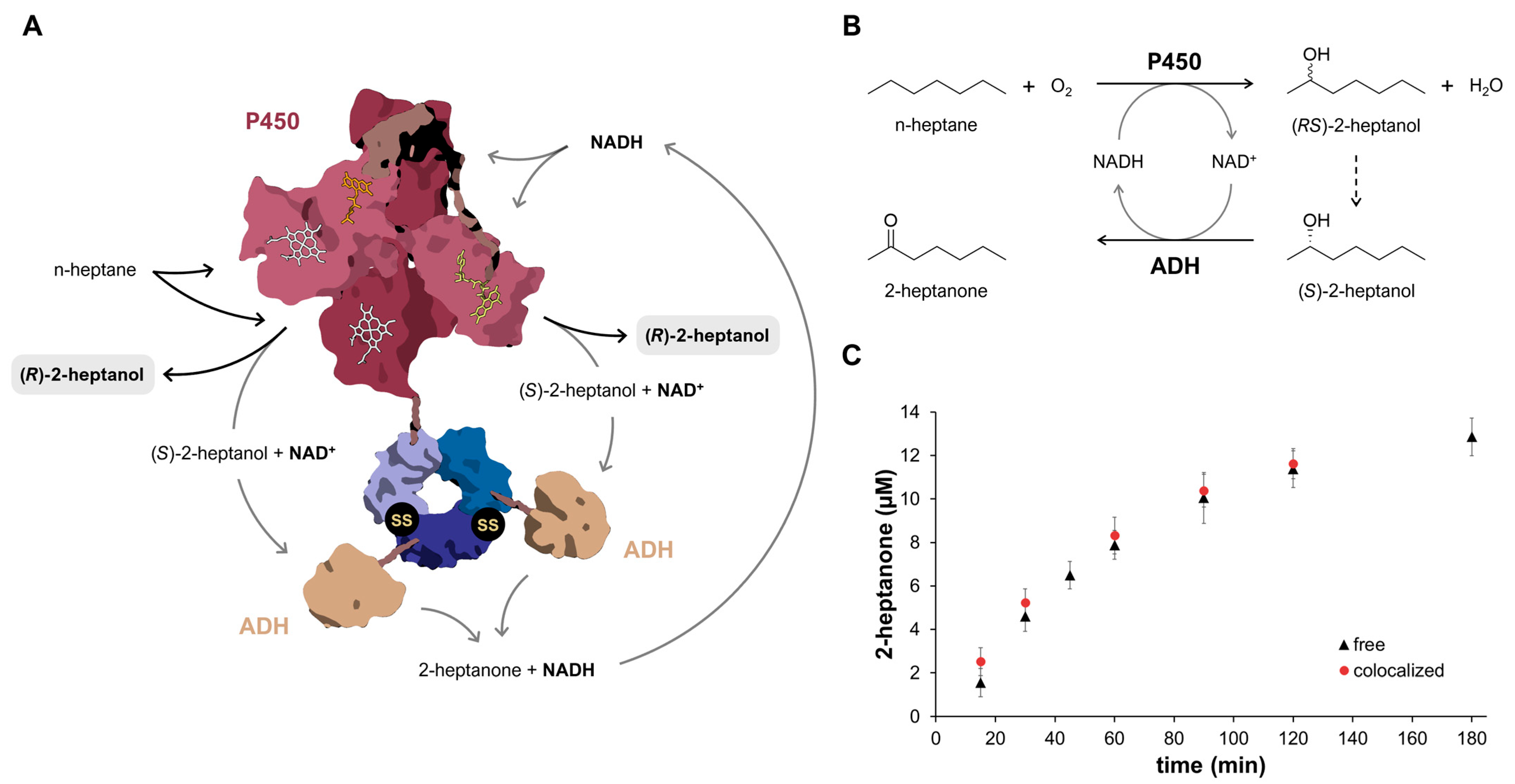 Synbio 03 00016 g007 Synbio 03 00016 g007