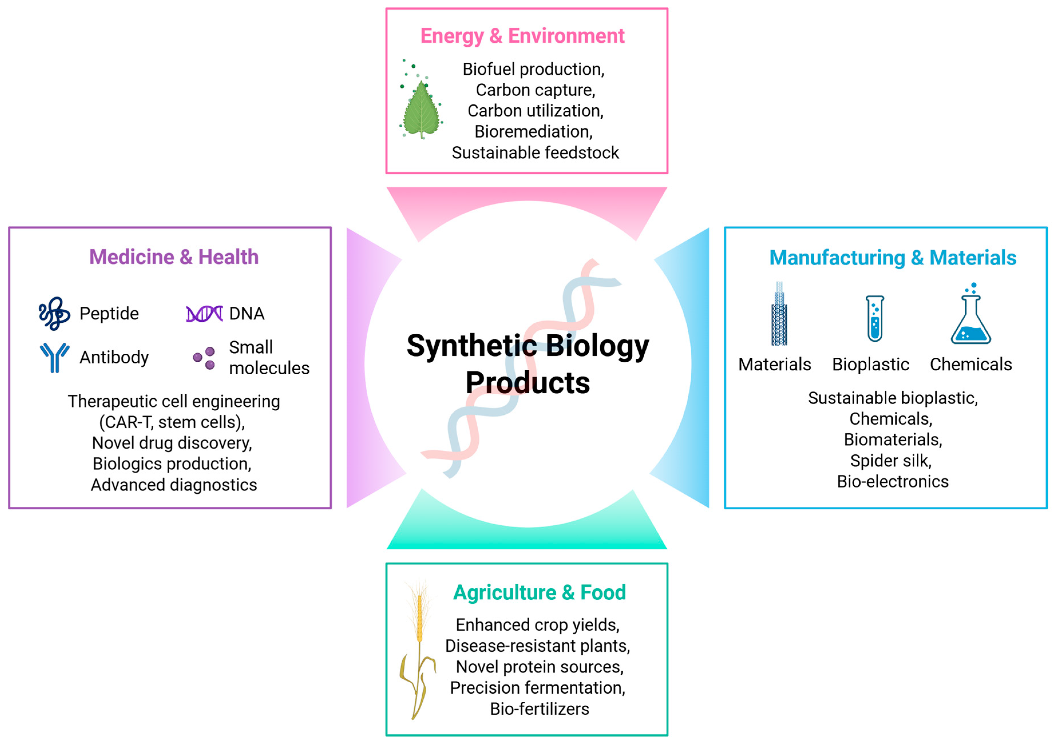 Synbio 03 00017 g003