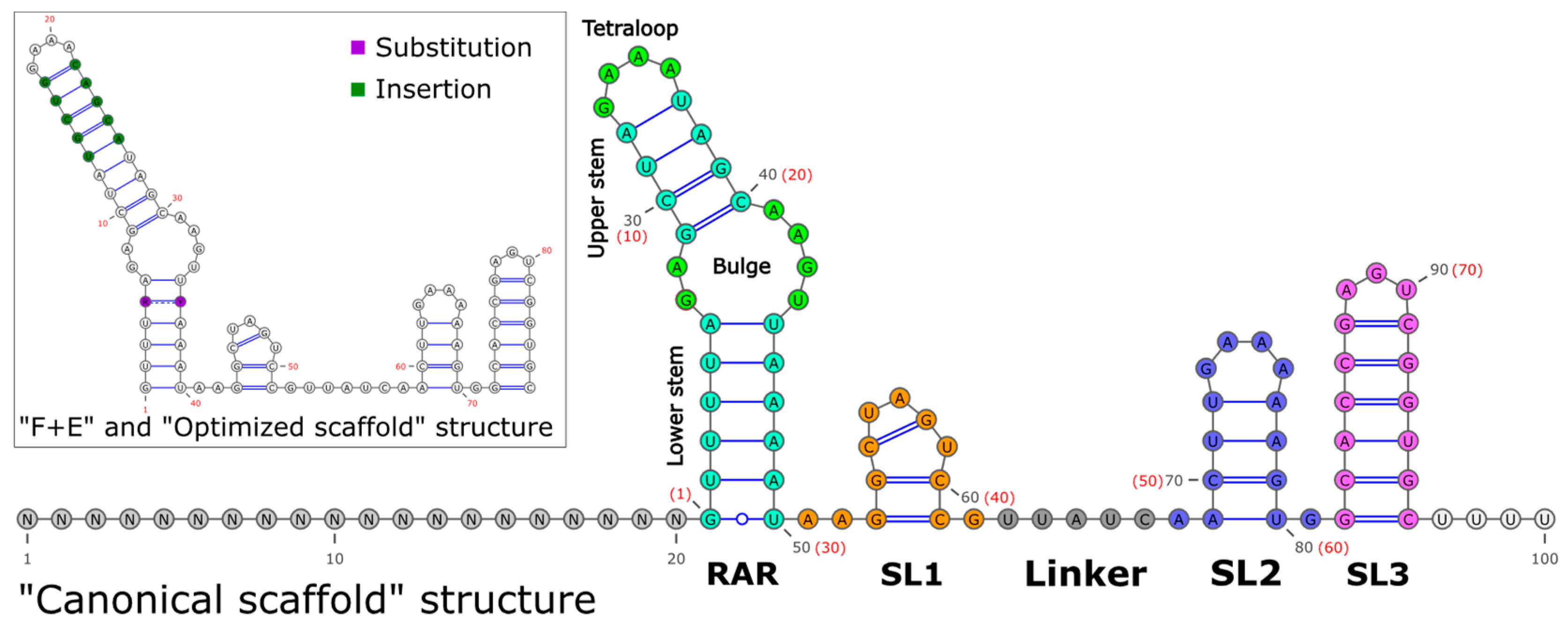 Synbio 03 00019 g002