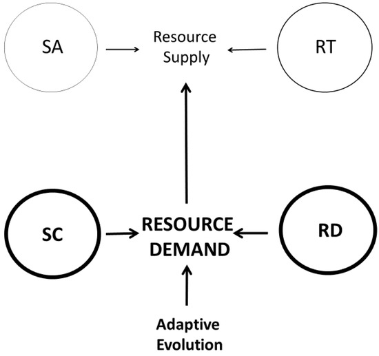 Systems Free Full Text Rediscovering And Reviving Old
