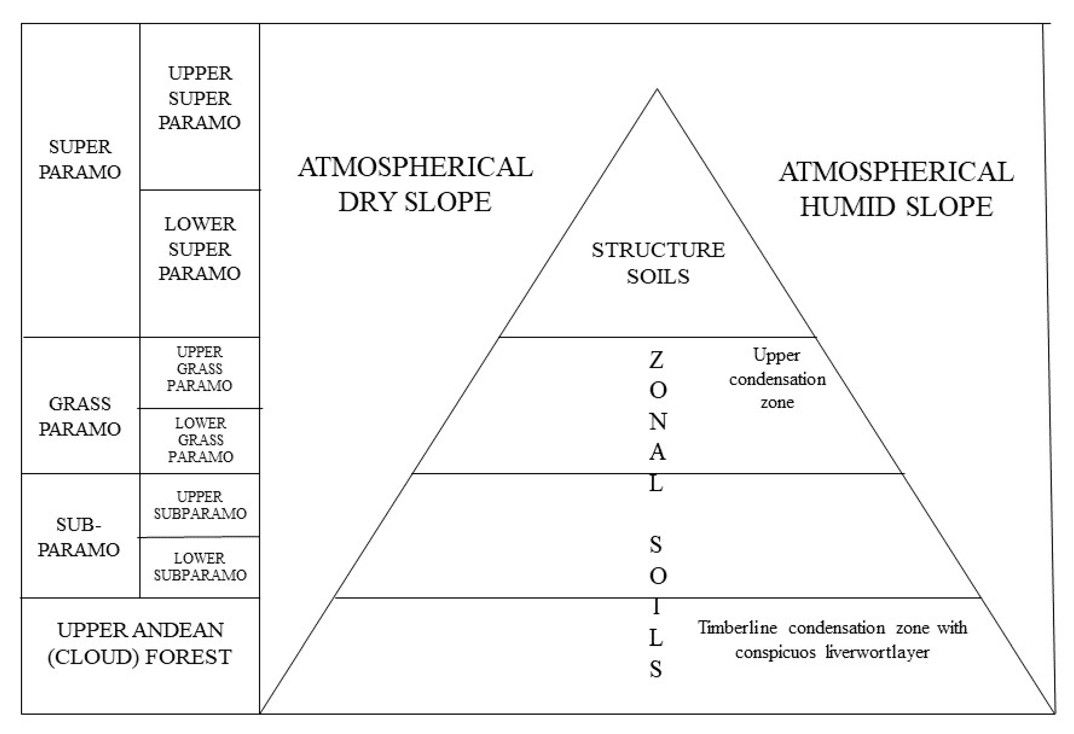 Systems 07 00052 g001