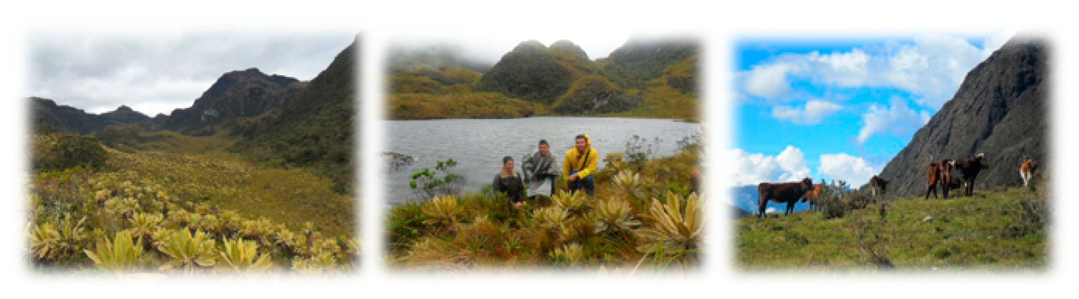 Systems 07 00052 g003