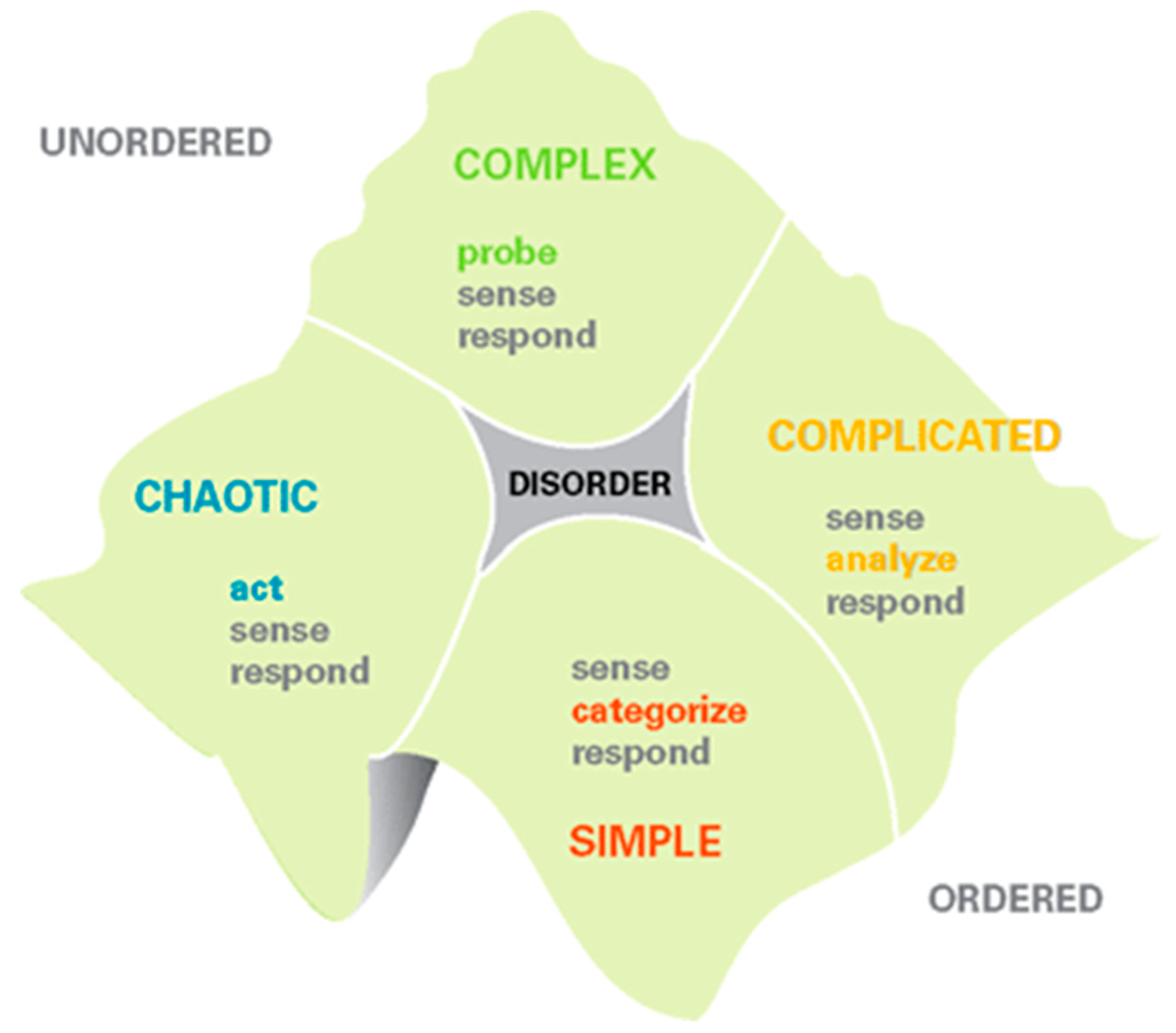 How Experts Make Complex Decisions