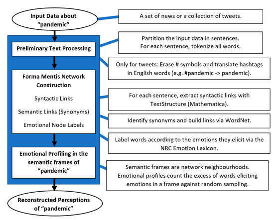 Systems Free Full Text Cognitive Network Science Reconstructs How Experts News Outlets And Social Media Perceived The Covid 19 Pandemic