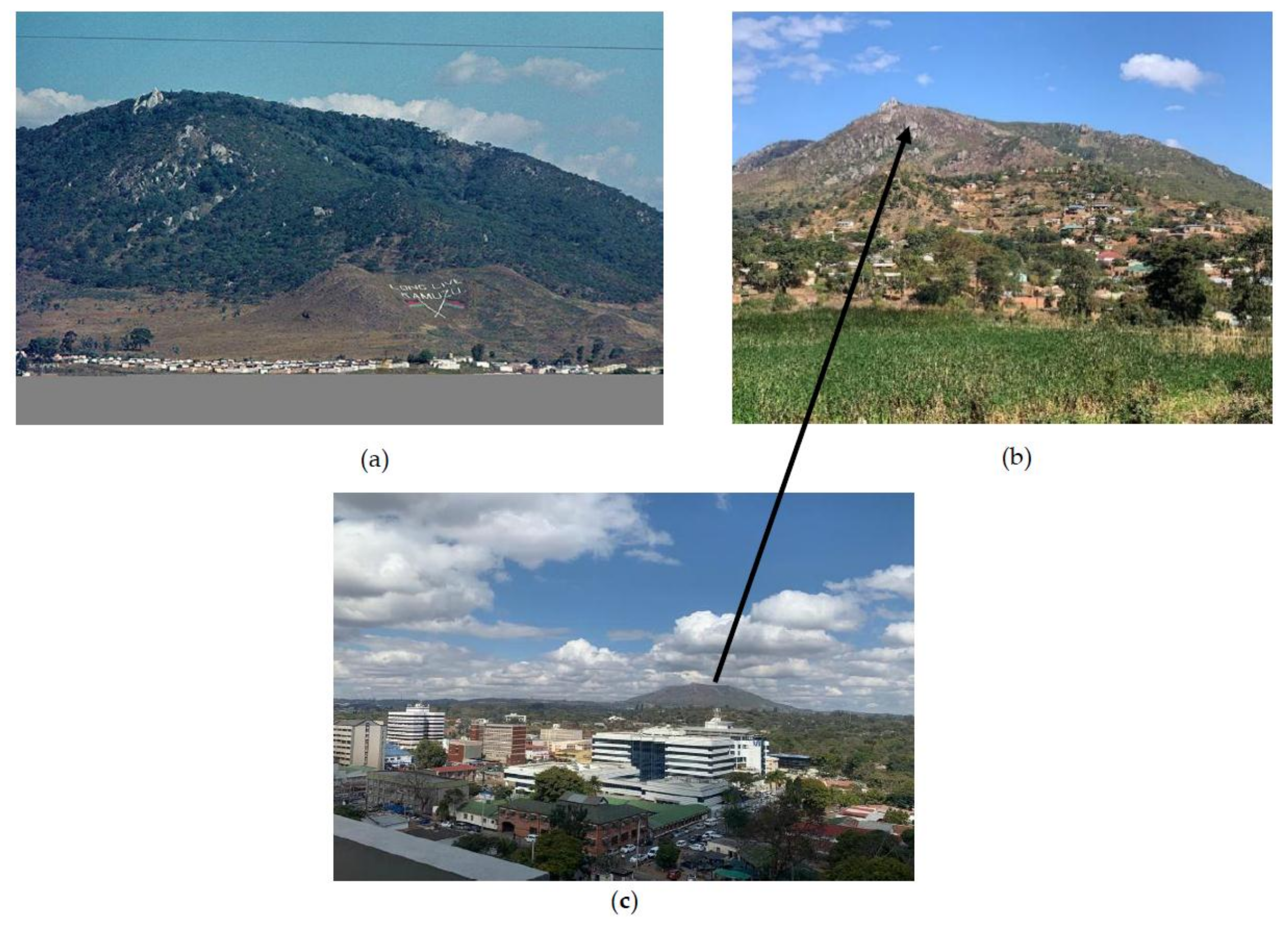 Systems 09 00007 g003