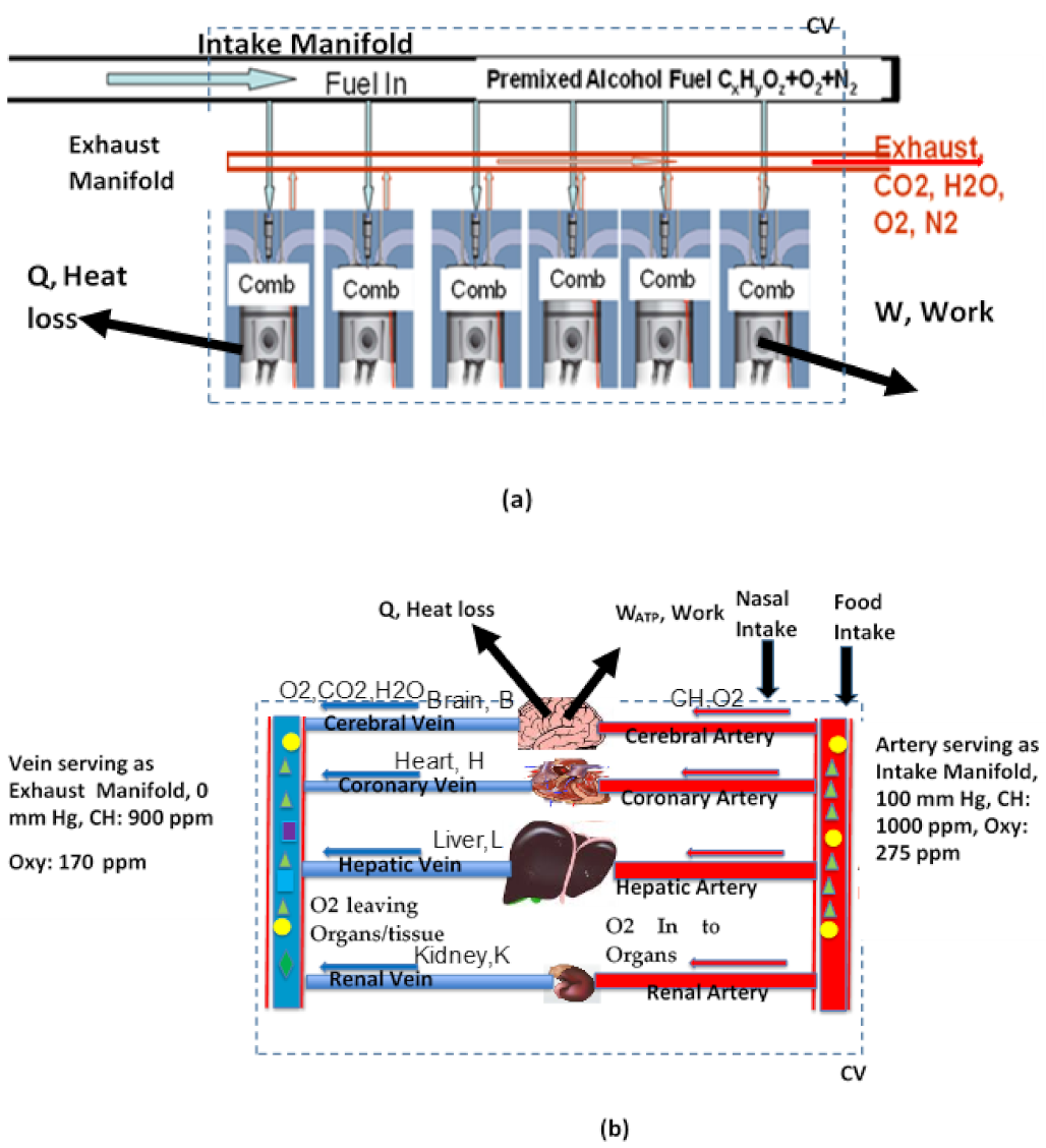 Systems 09 00054 g001 550
