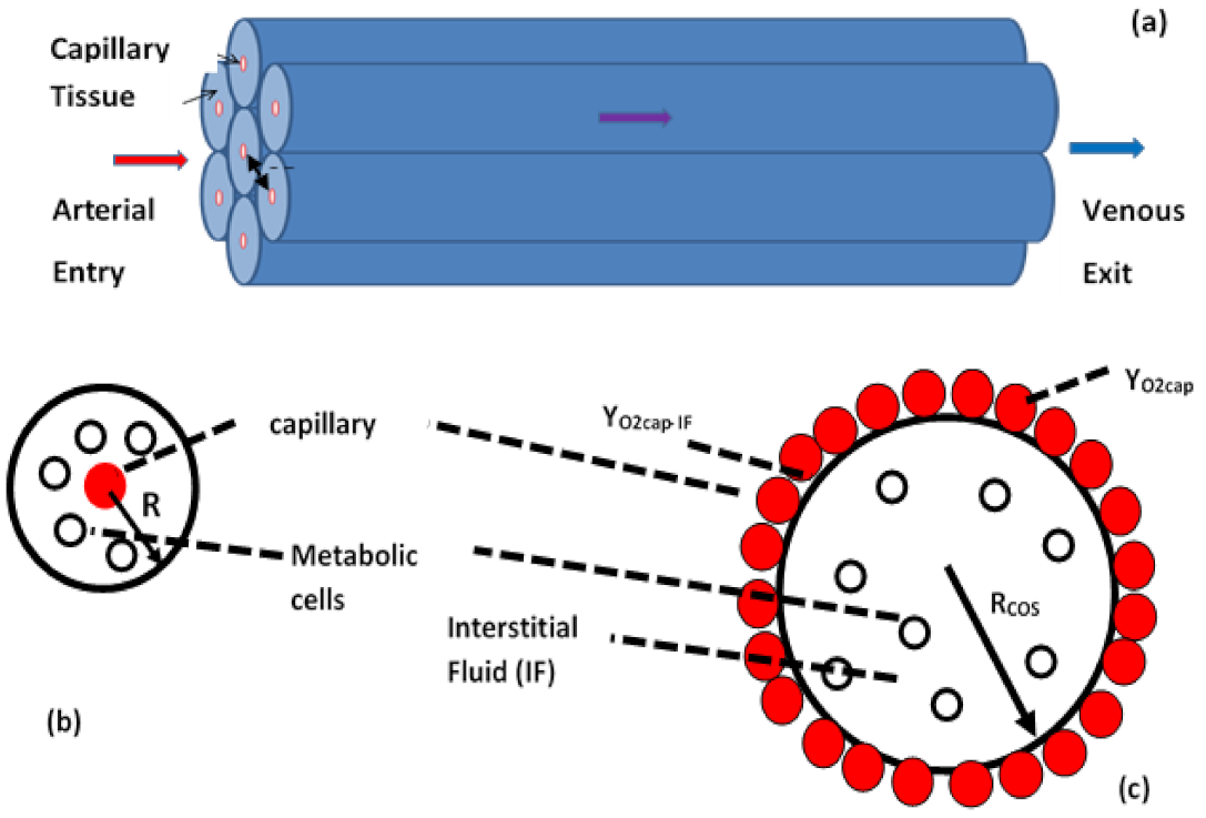 Systems 09 00054 g005 550