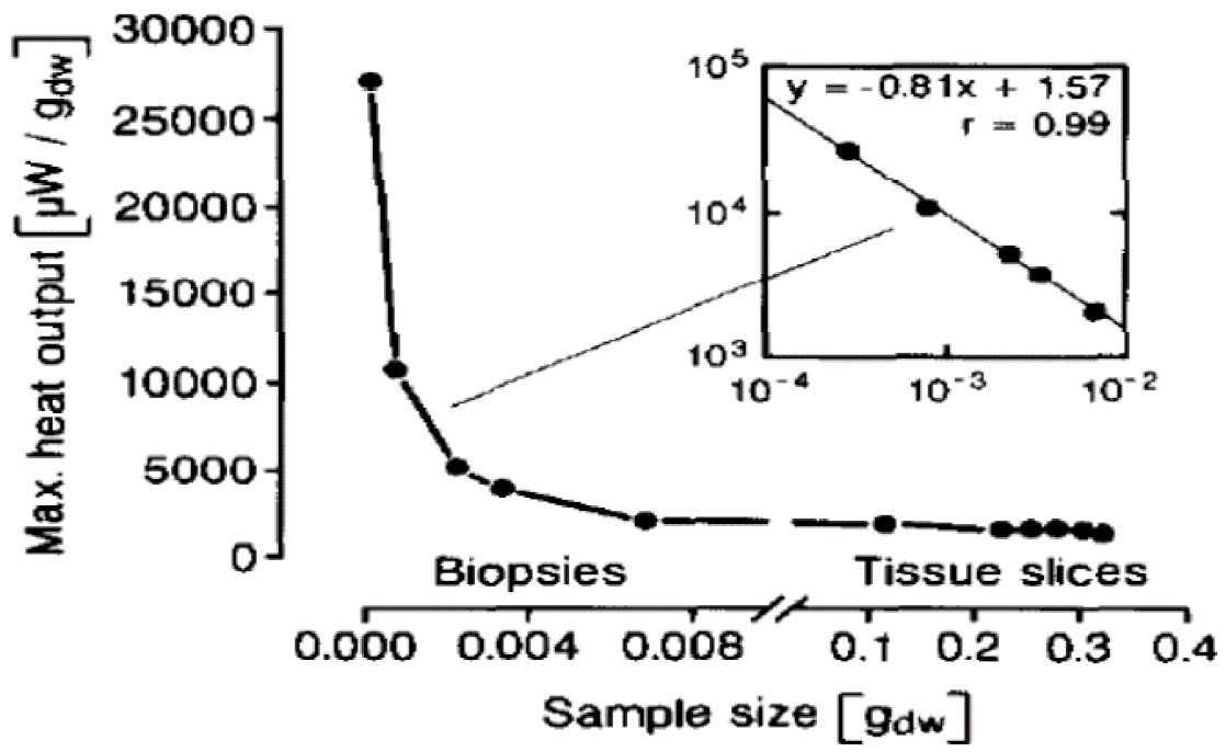 Systems 09 00054 g006 550