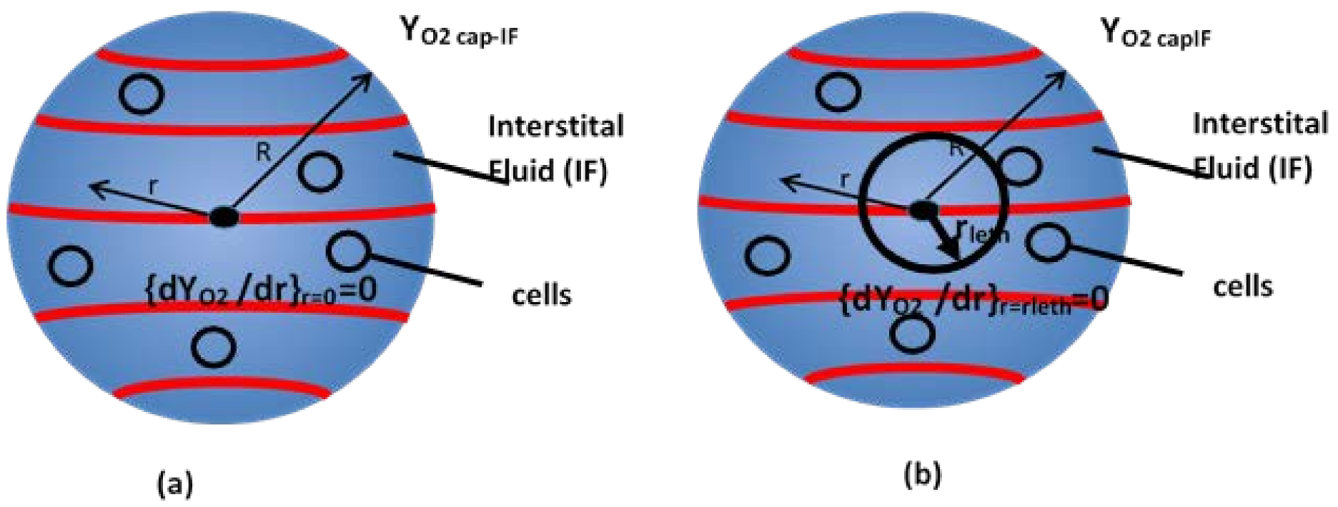 Systems 09 00054 g007 550