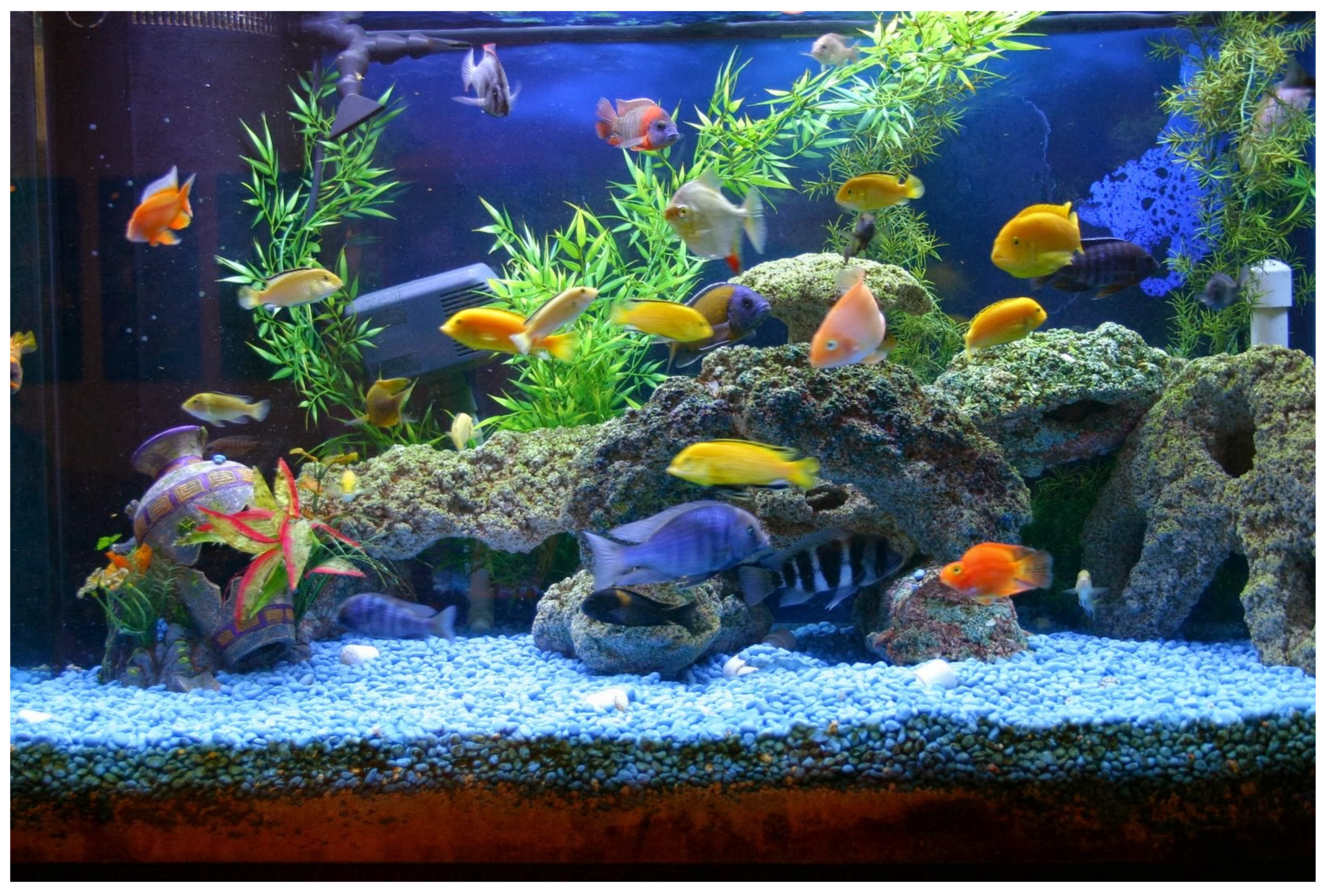 Systems 10 00041 g017 Systems 10 00041 g017