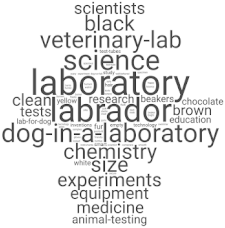 Systems 10 00071 i016