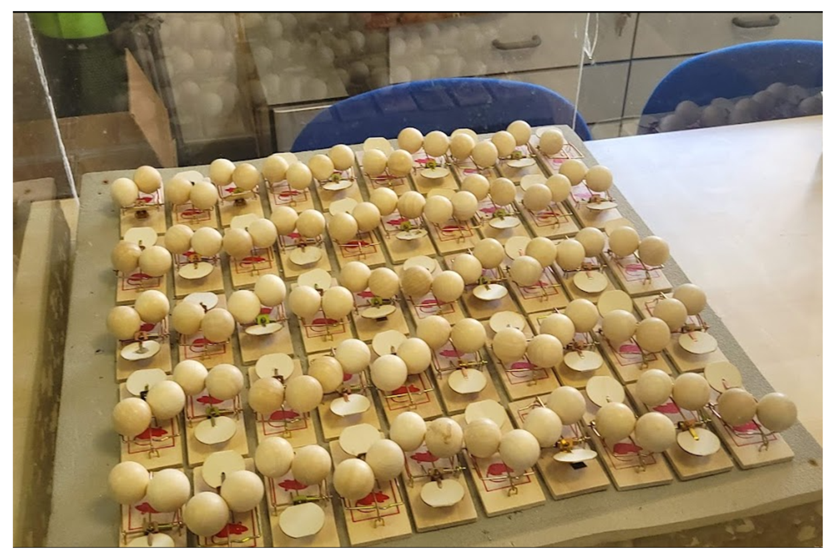 Systems 10 00091 g001 550